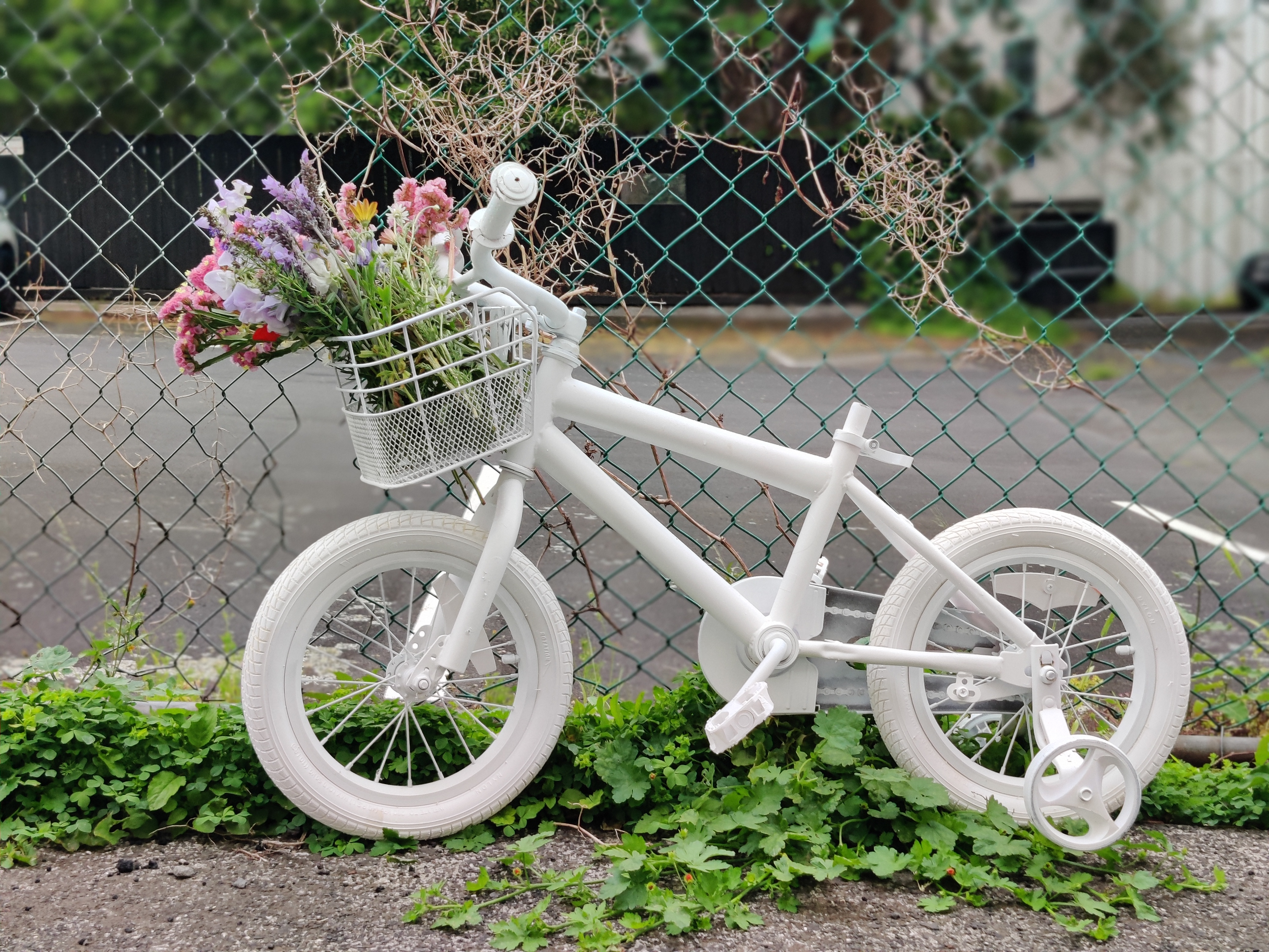 White bike commemoration for those who've lost their lives riding on the road. Photo / Sue Cardwell