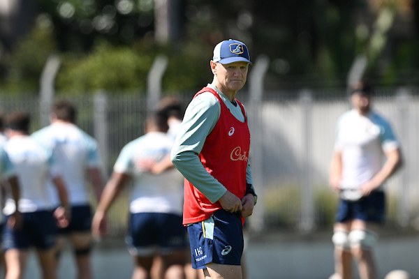 Wallabies coach Joe Schmidt is set to stand down later this year. Photo / Photosport