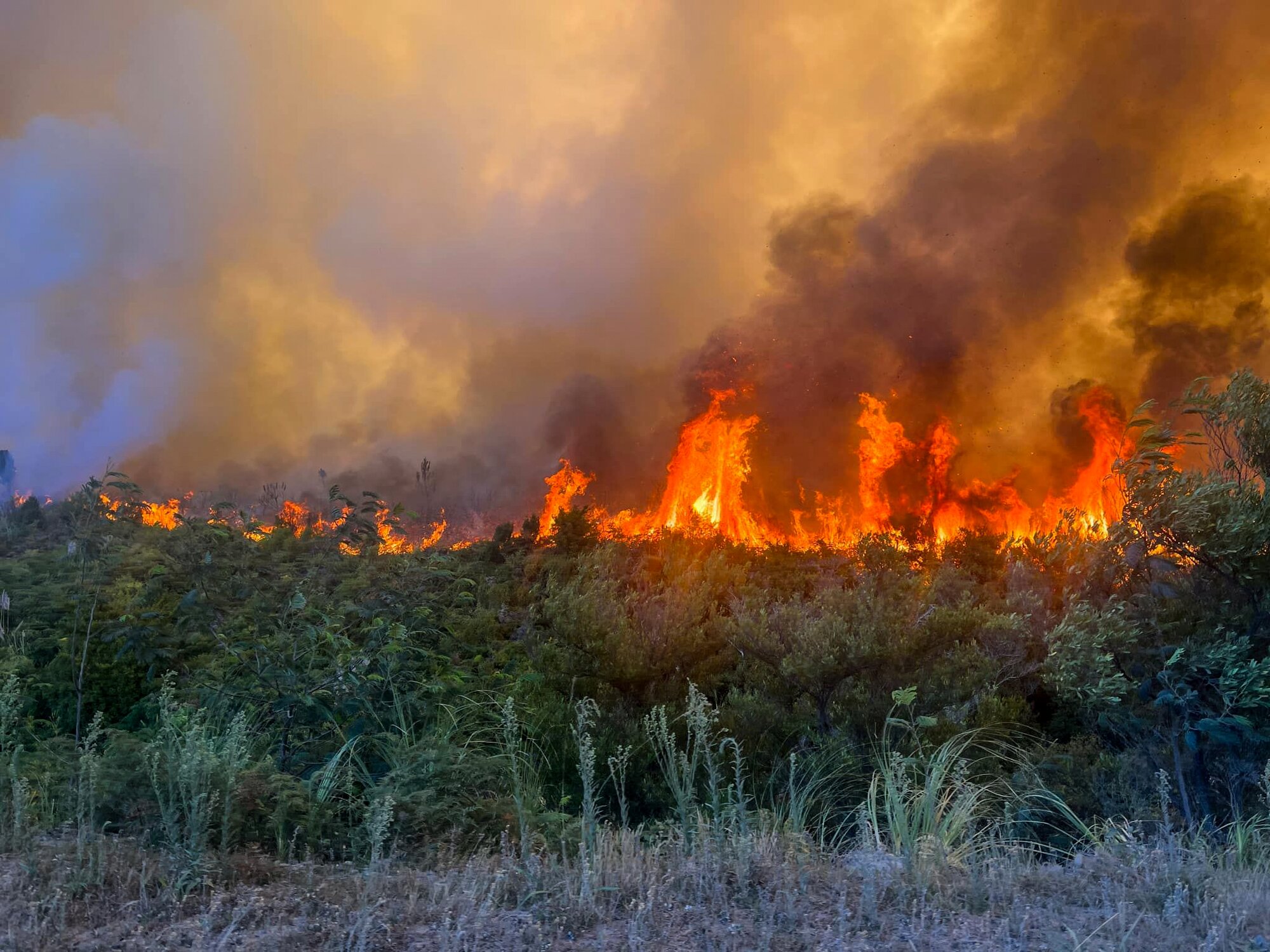 Flames and smoke from a scrub fire in the Waipoua Forest. Photo / Ōmāpere Volunteer Fire Brigade