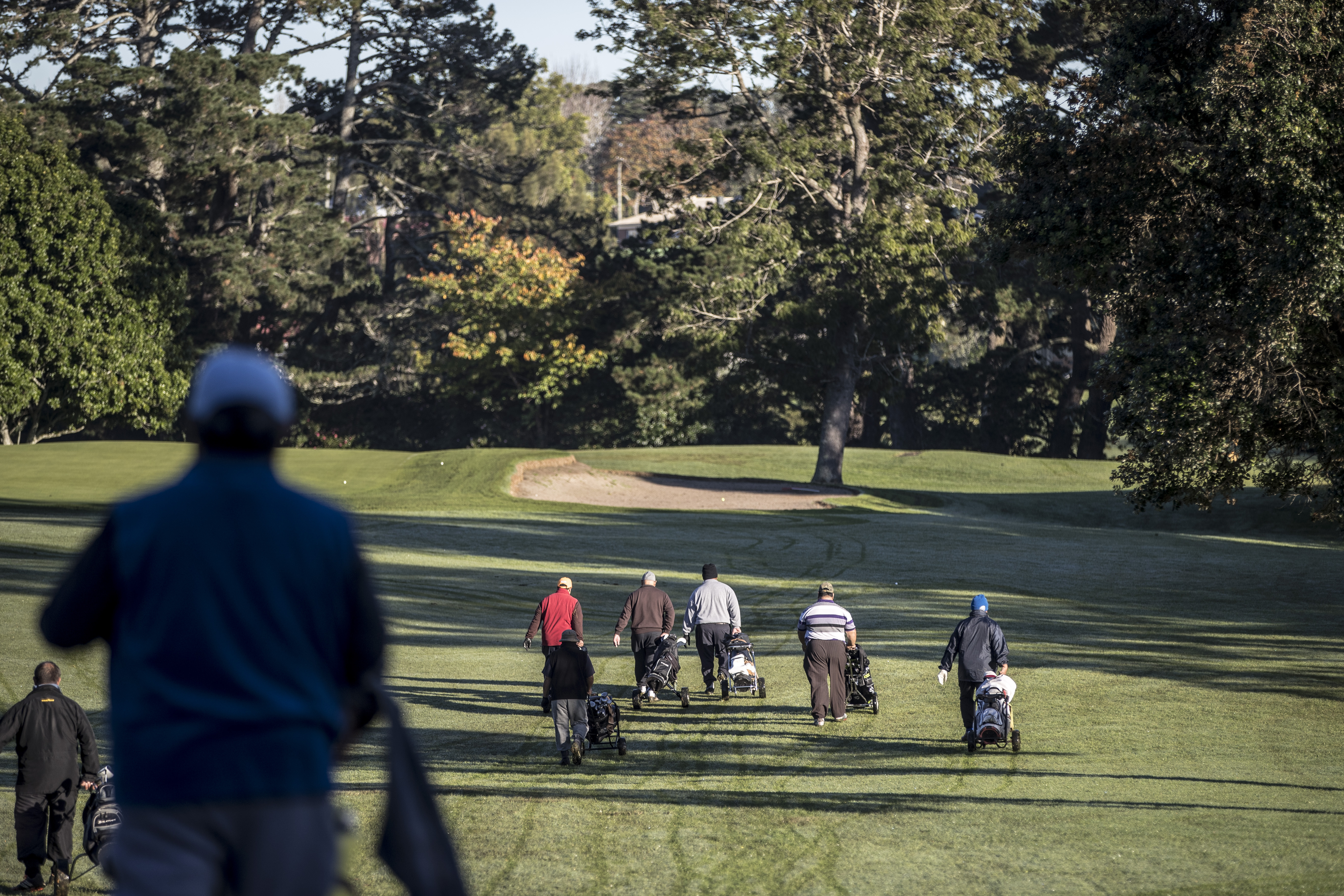An early morning round of golf for a big group at Chamberlain Park, Mt Albert, Auckland. Photo / Michael Craig