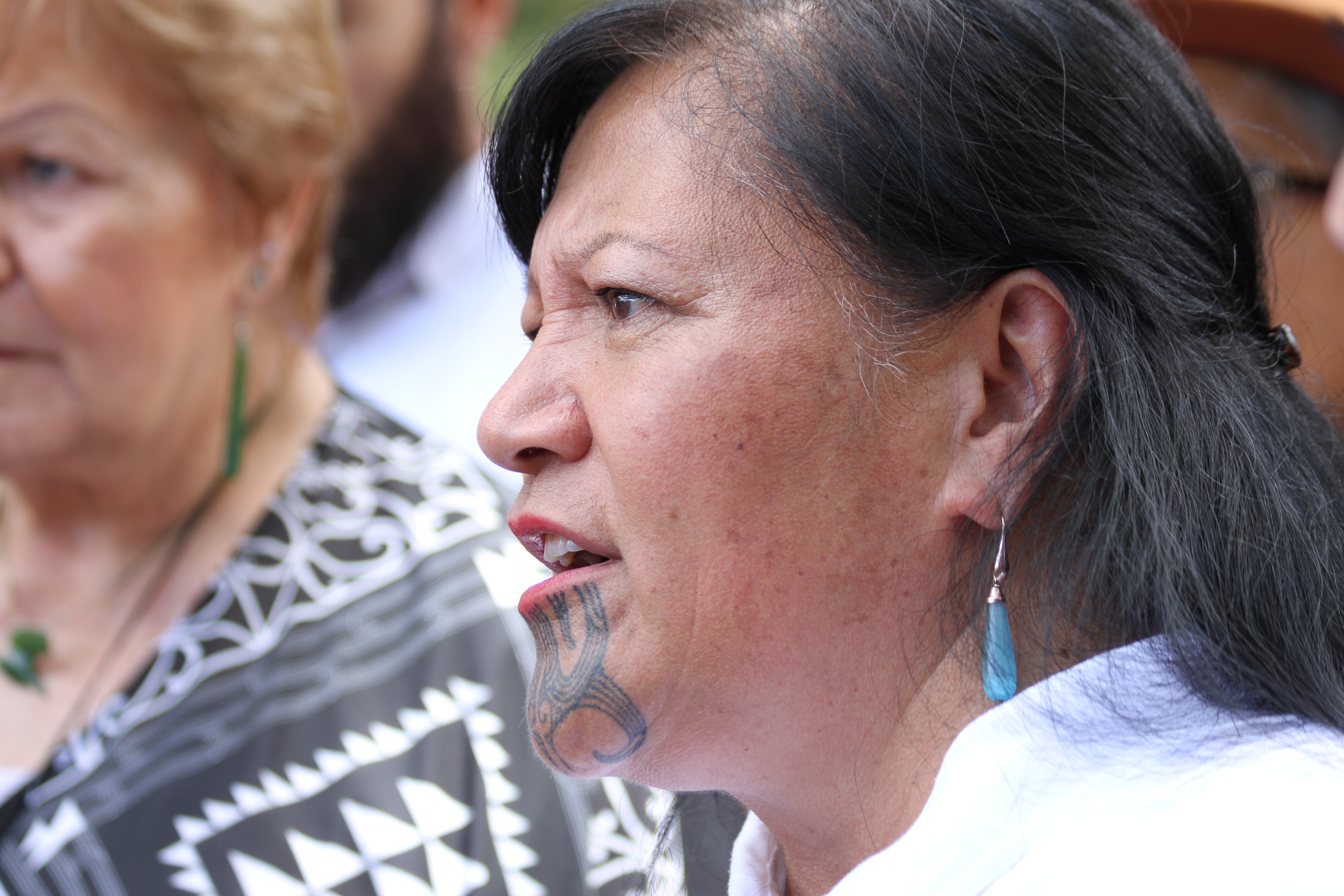 Te Pāti Māori MP Mariameno Kapa-Kingi: 'My use of [the word extermination] made a lot of you uncomfortable, and I’m glad to hear it.'