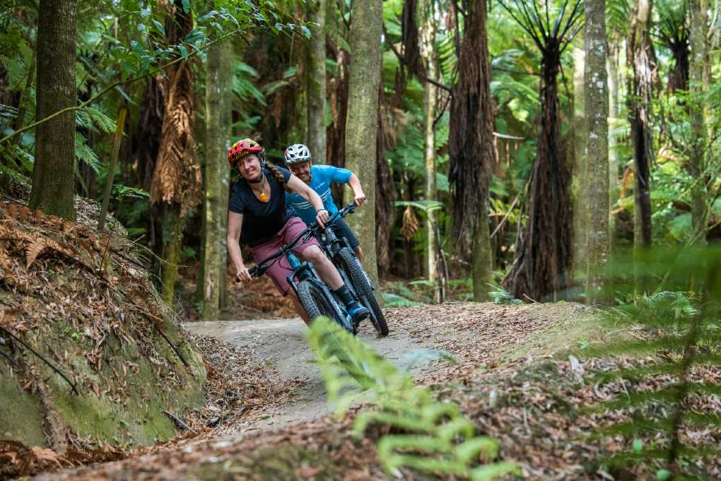 Whakarewarewa best sale forest mtb