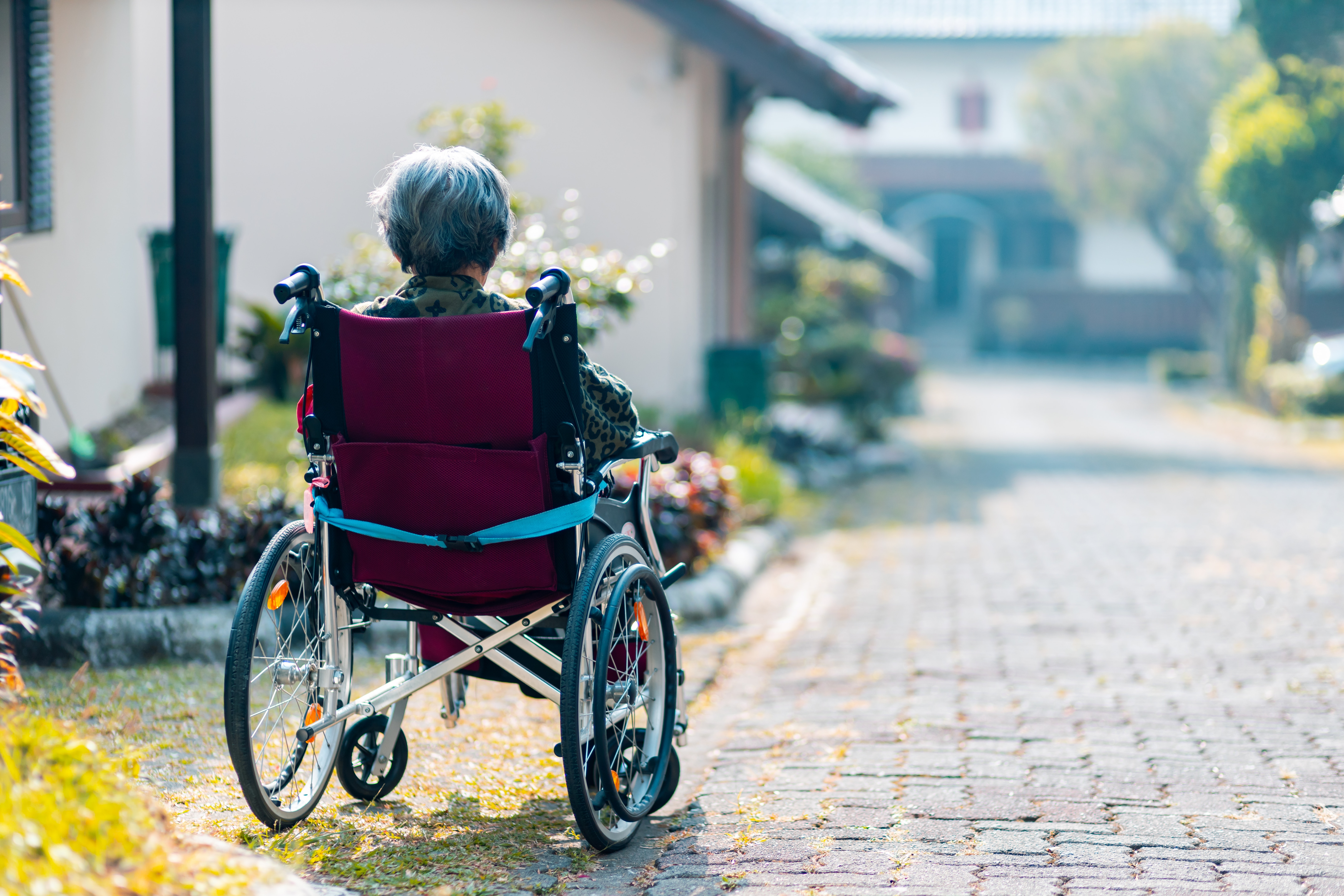 More than 50 million people worldwide suffer from Alzheimer's disease. Photo / Steven HWG, Unsplash