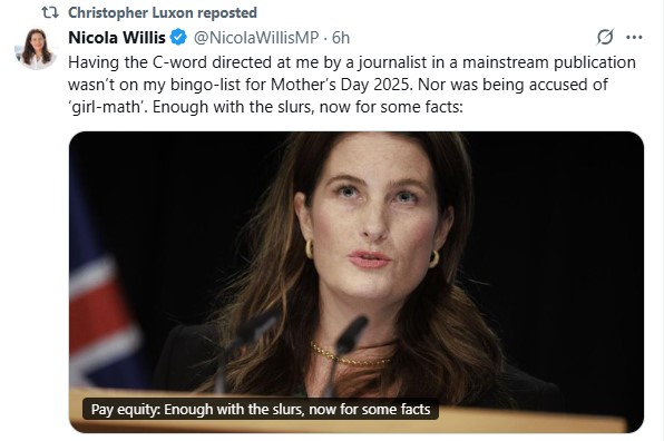 Nicola Willis took exception to a 'demeaning' column.