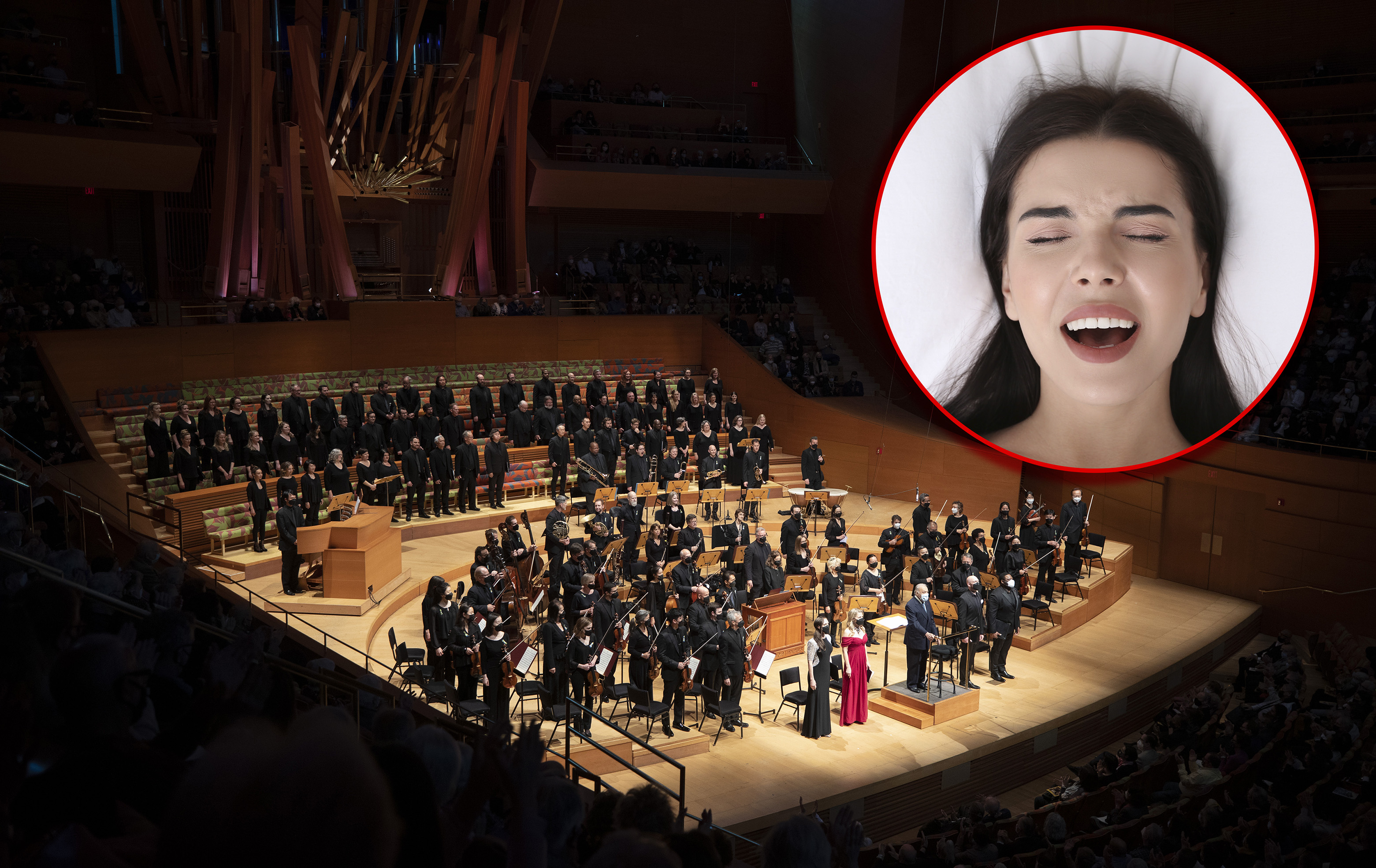 Woman has full body orgasm during LA Philharmonic concert NZ