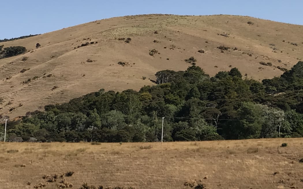 Northland, Taranaki, Horizons and Greater Wellington regions including the Wairarapa have joined parts of the South Island now in drought. Photo / RNZ / Liz Garton