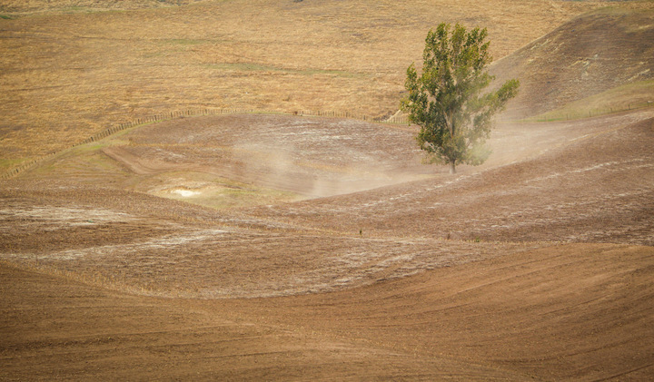 Dry paddocks drew dust in Poukawa in autumn of 2021. A regional council report suggests the region will face an annual water shortfall of 32 million cubic metres by 2040. Photo / Paul Taylor