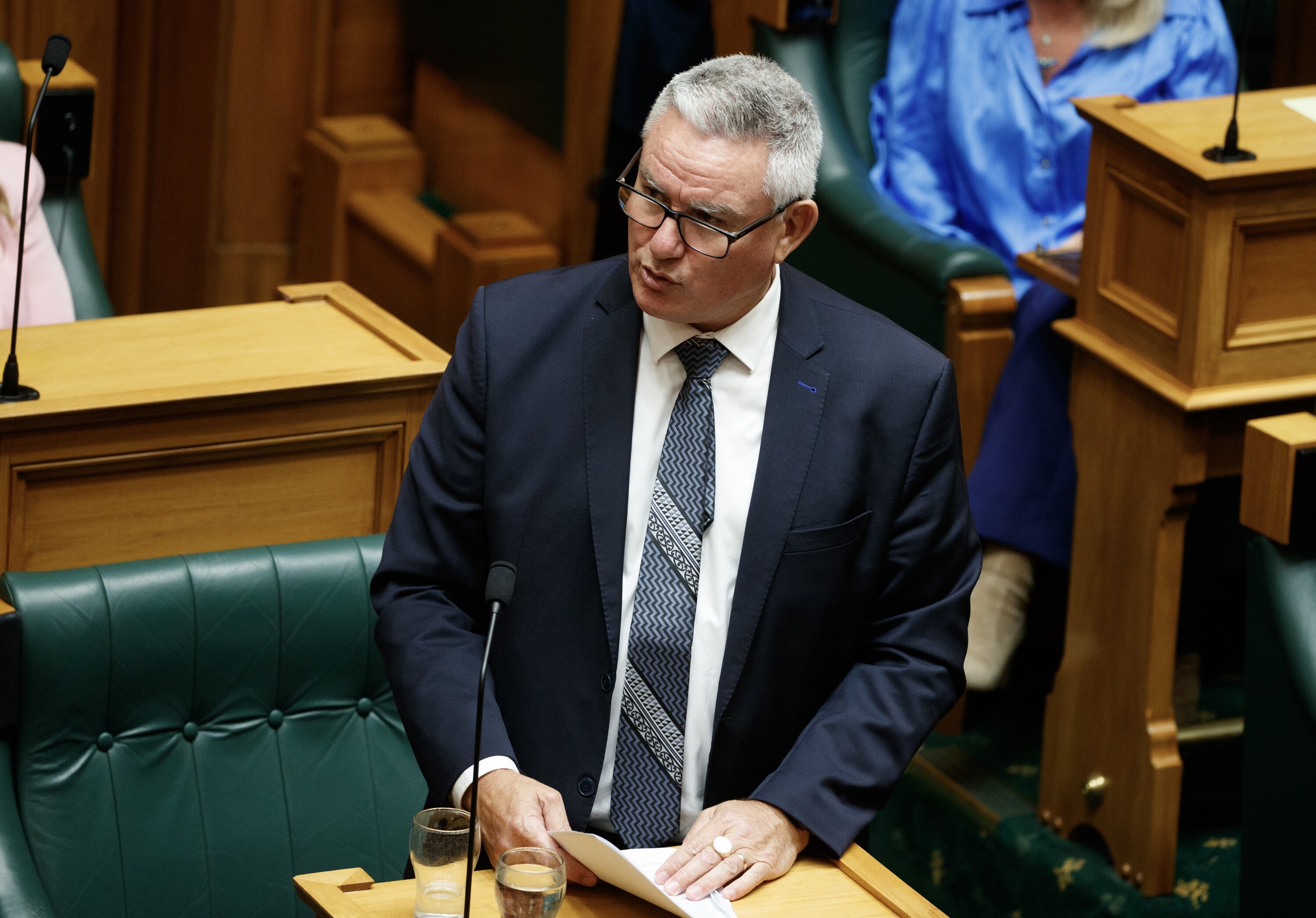 Former Labour deputy Kelvin Davis delivers his valedictory speech. Photo / Mark Mitchell