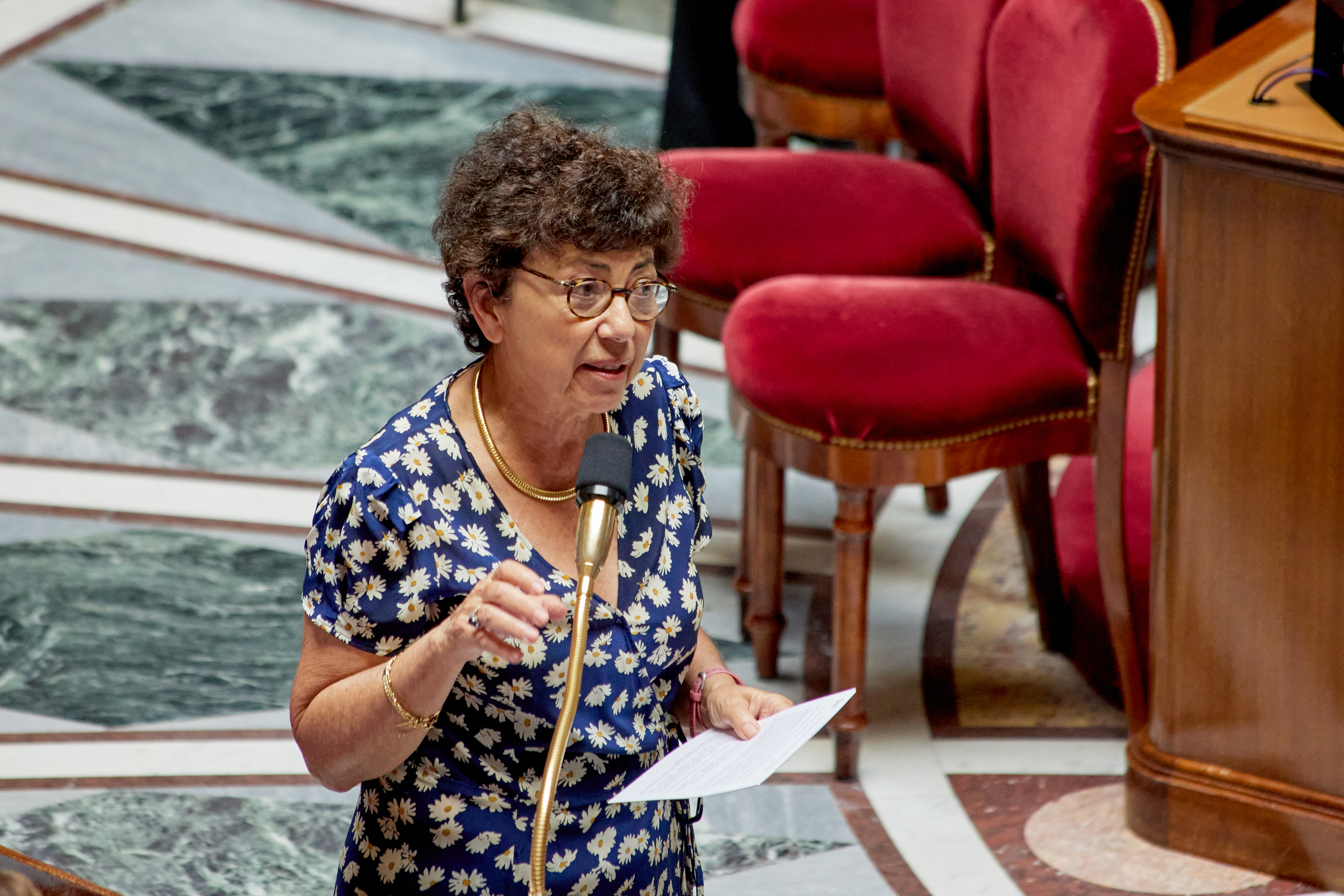 France's Environment Minister Monique Barbut said she would resign because of the passing of the bill. Photo / Getty Images