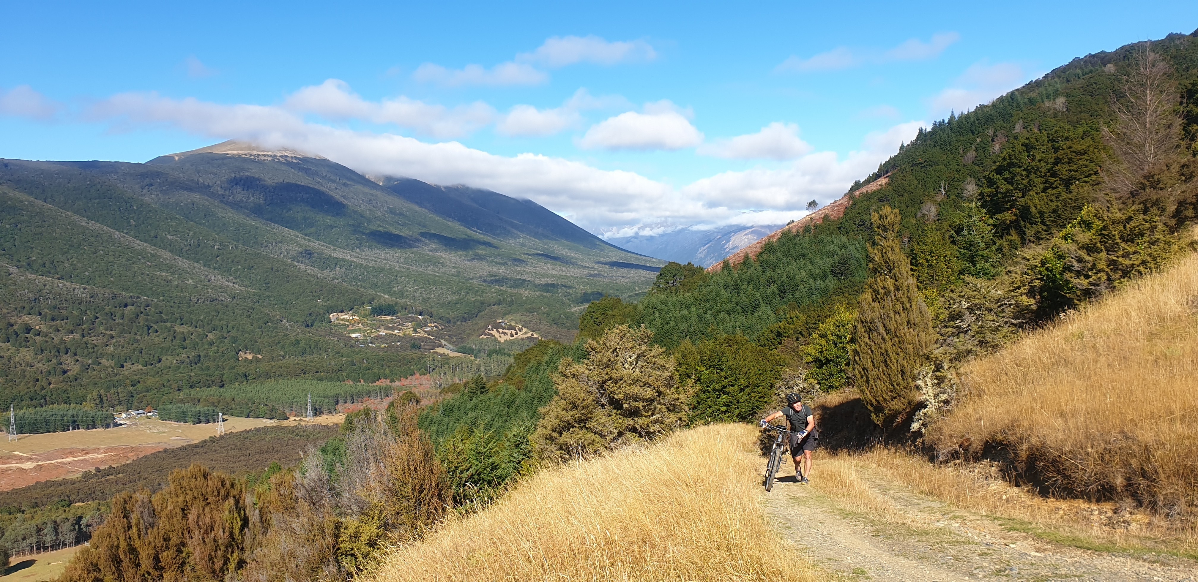 A track to Beebys Knob in Mt Richmond Forest Park, near where the two teens died in an off-road accident on Monday night.