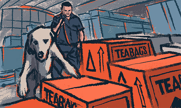 A Herald on Sunday investigation looks into how methamphetamine is flooding into New Zealand from the Golden Triangle region. Illustration / Andrew Louis