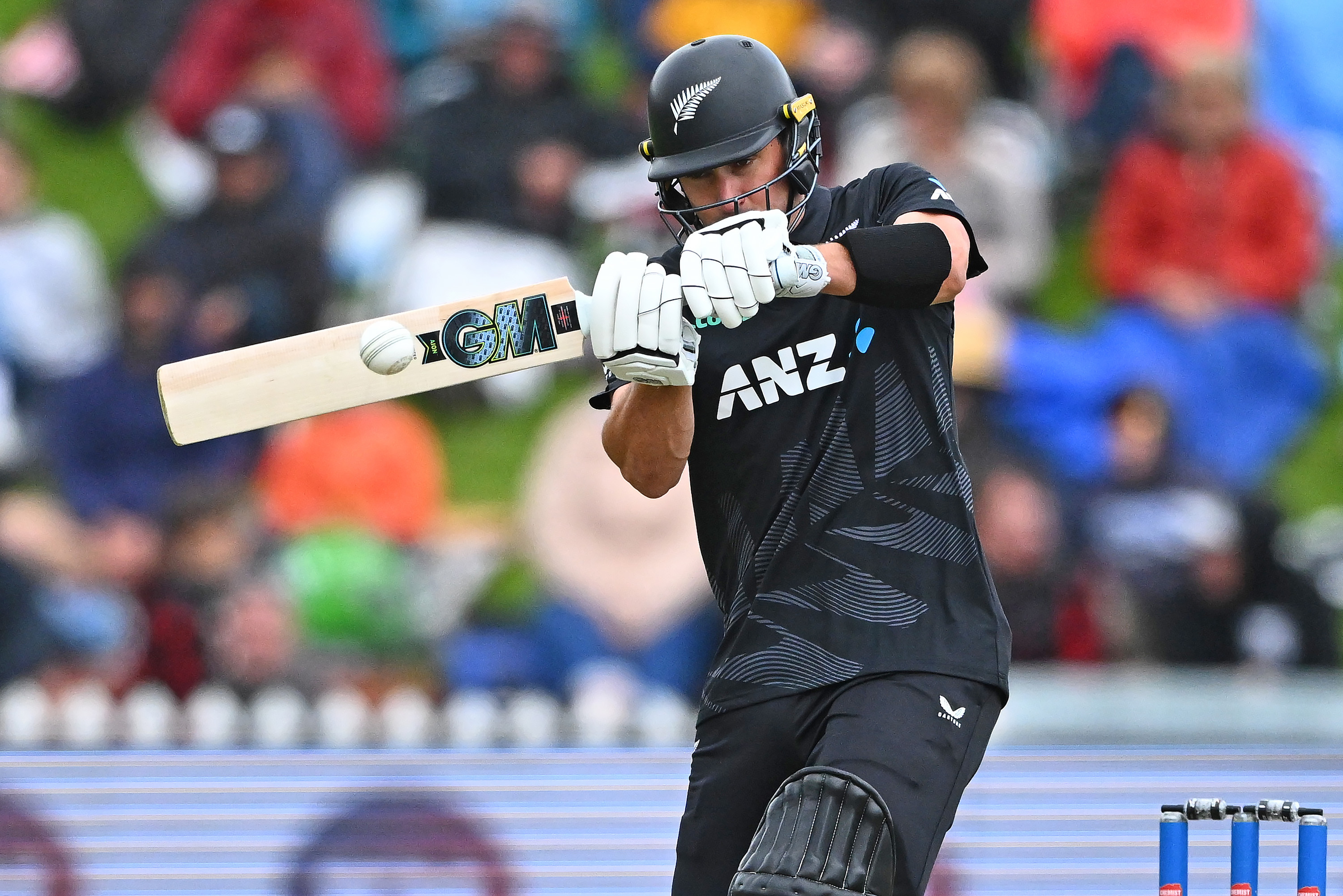 Will Young led the Black Caps' chase at the Basin Reserve. Photo / Photosport