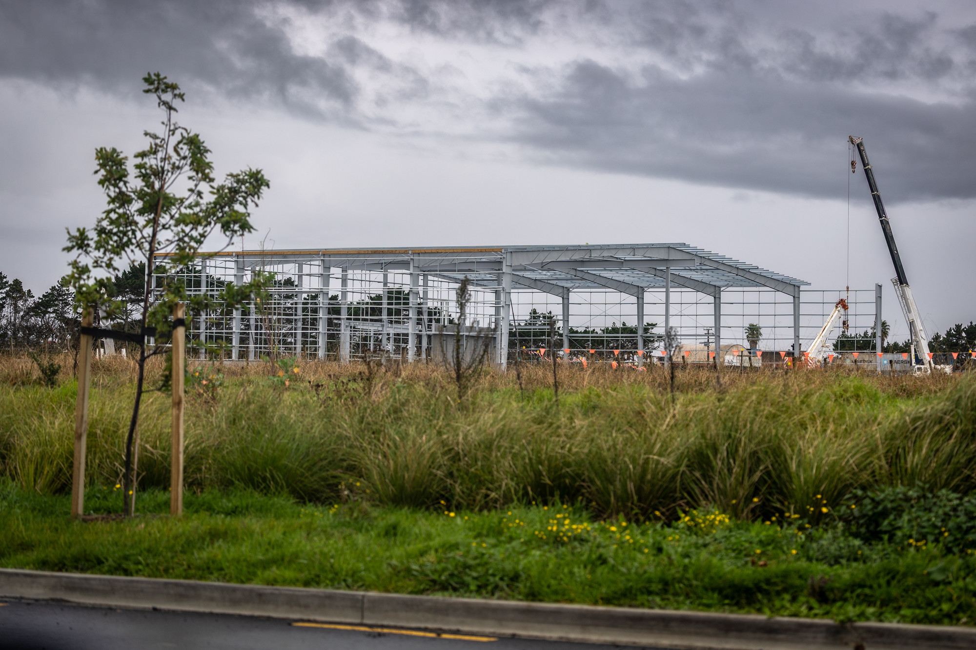 Fernbrook's new warehouse on Prices Rd. Photo / Michael Craig