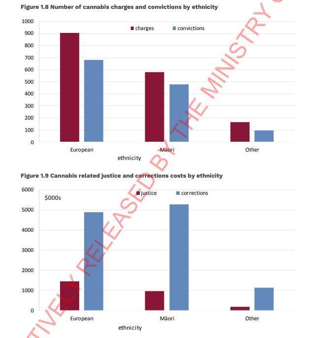 The justice system, which disproportionately hits Māori harder, would save about $11 million a year in court and prison costs if cannabis was legalised. Source / Berl