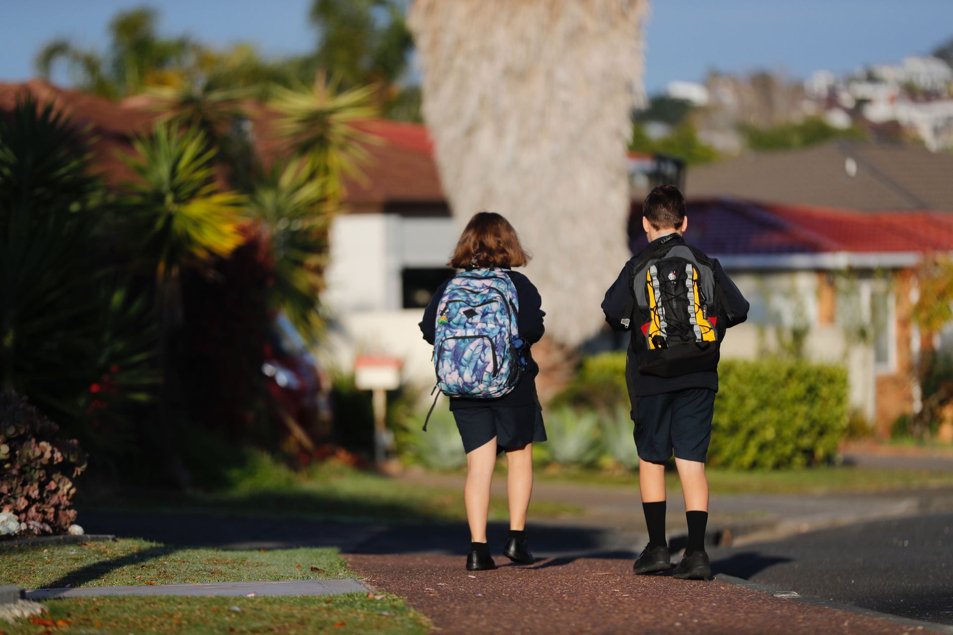 An estimated 800,000 children are due back at school today. Photo / Dean Purcell