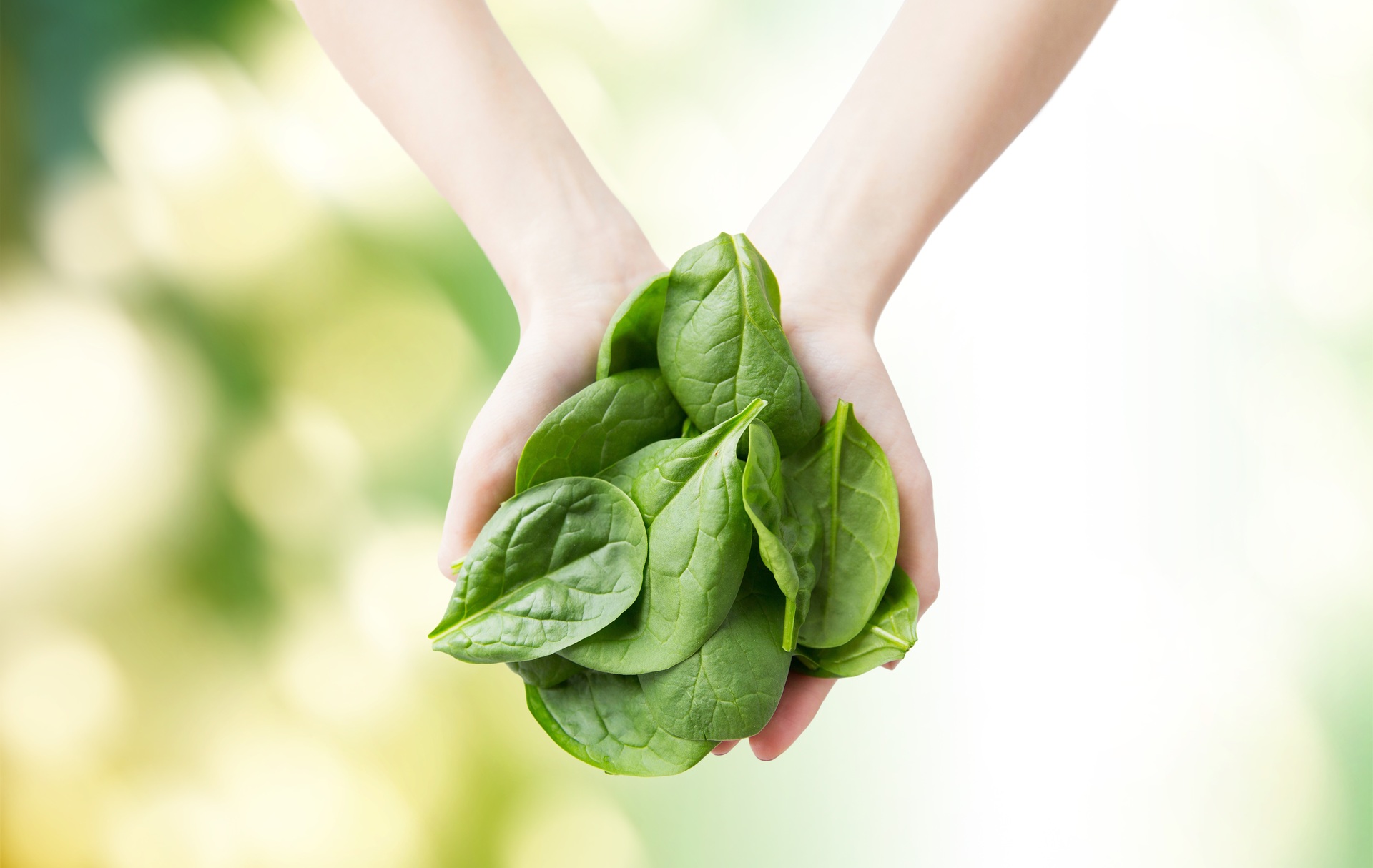 It's no surprise that greens like spinach are on the list. Photo / 123rf.com