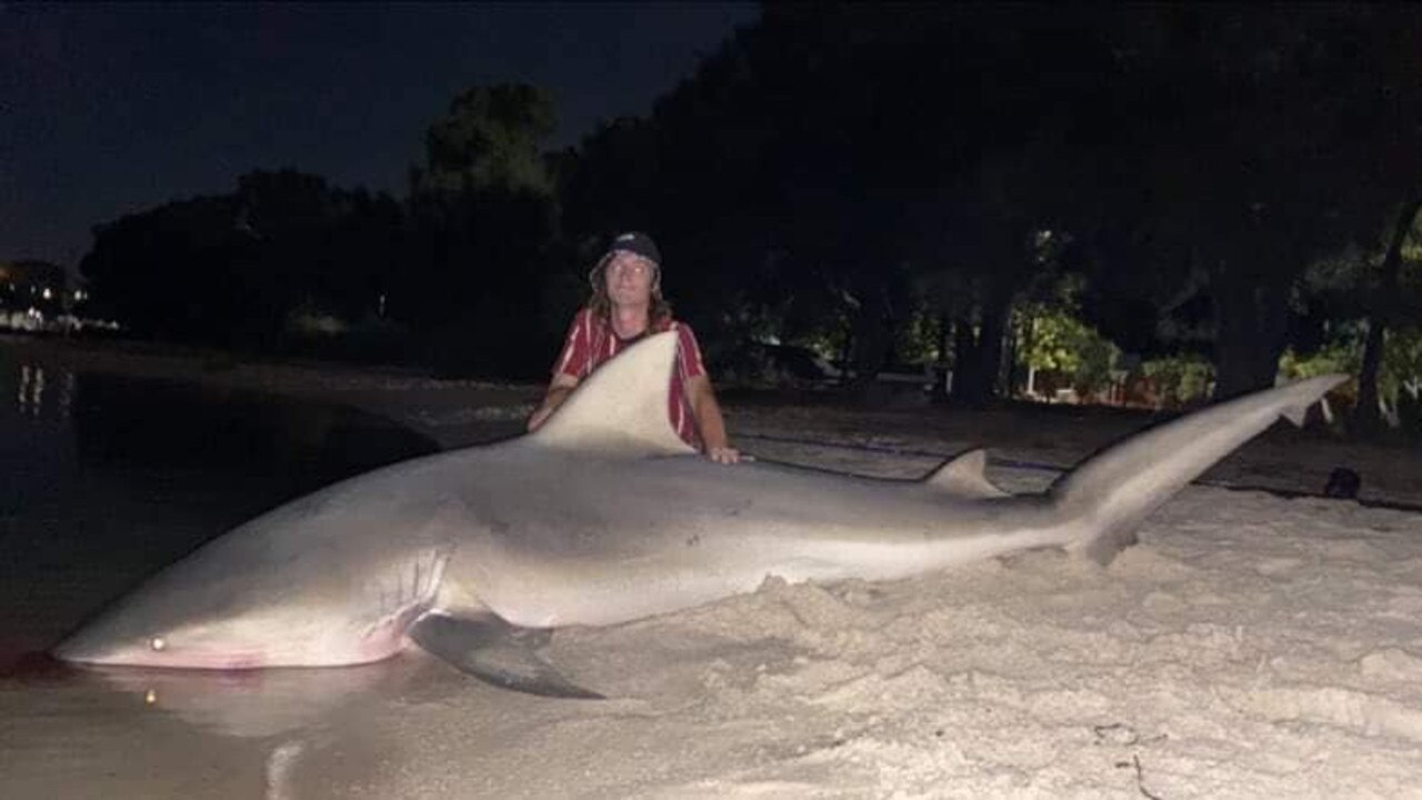 Fatal Perth shark attack: Fisherman catches massive shark in Swan