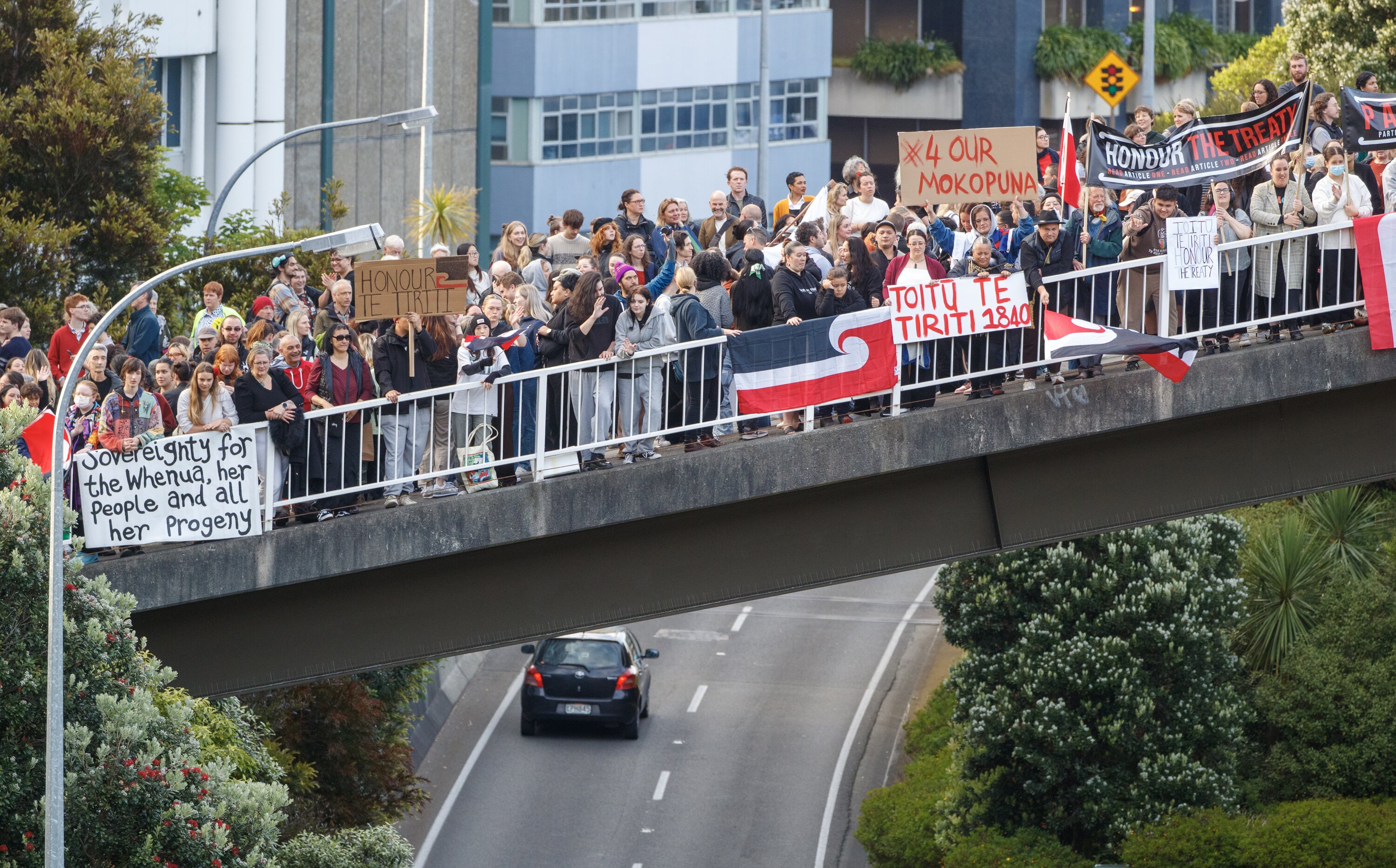 More than 1000 people marched from Aurora Bridge to Parliament in Wellington. Photo / Mark Mitchell