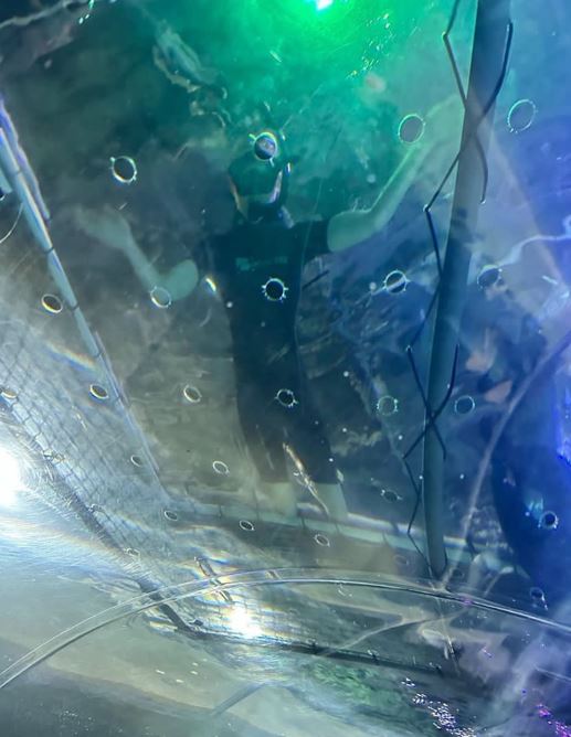 The tank sits directly above the aquarium’s travelator. Photo / Supplied