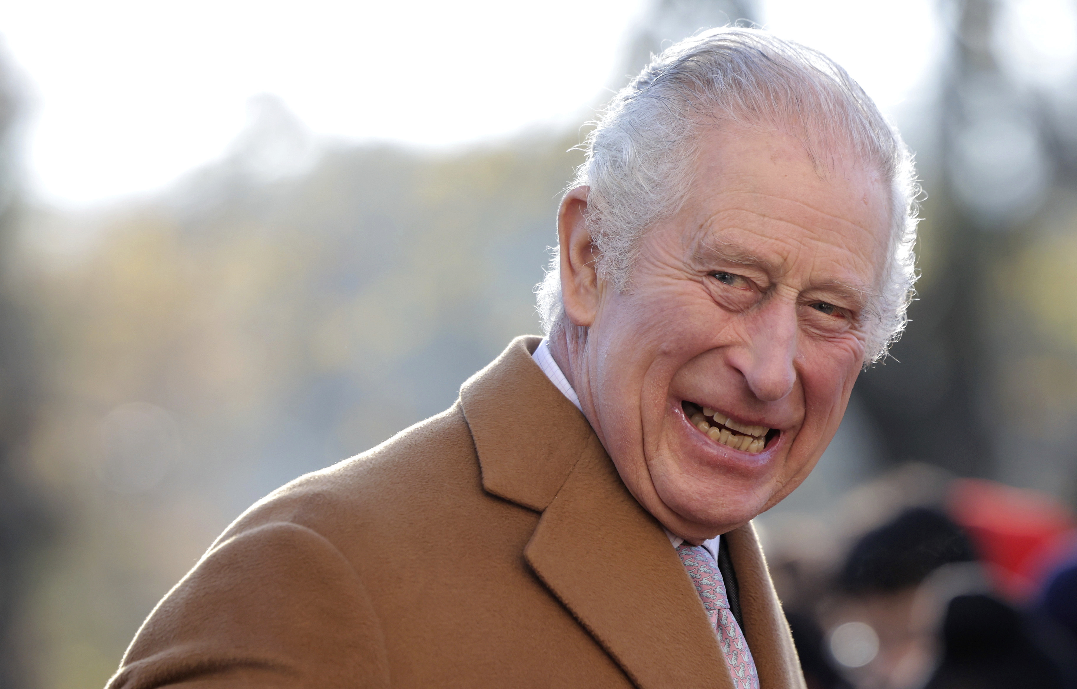 King Charles is rumoured to be planning a New Zealand trip - if true, it will mark the first time he has visited the country during his reign. Photo / AP