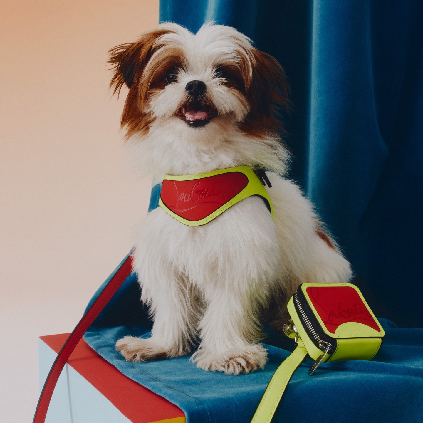 Louboutin also makes pet accessories, including the Loubileash, Loubiharness and Pet Waste Bag. Photo / @Louboutinworld