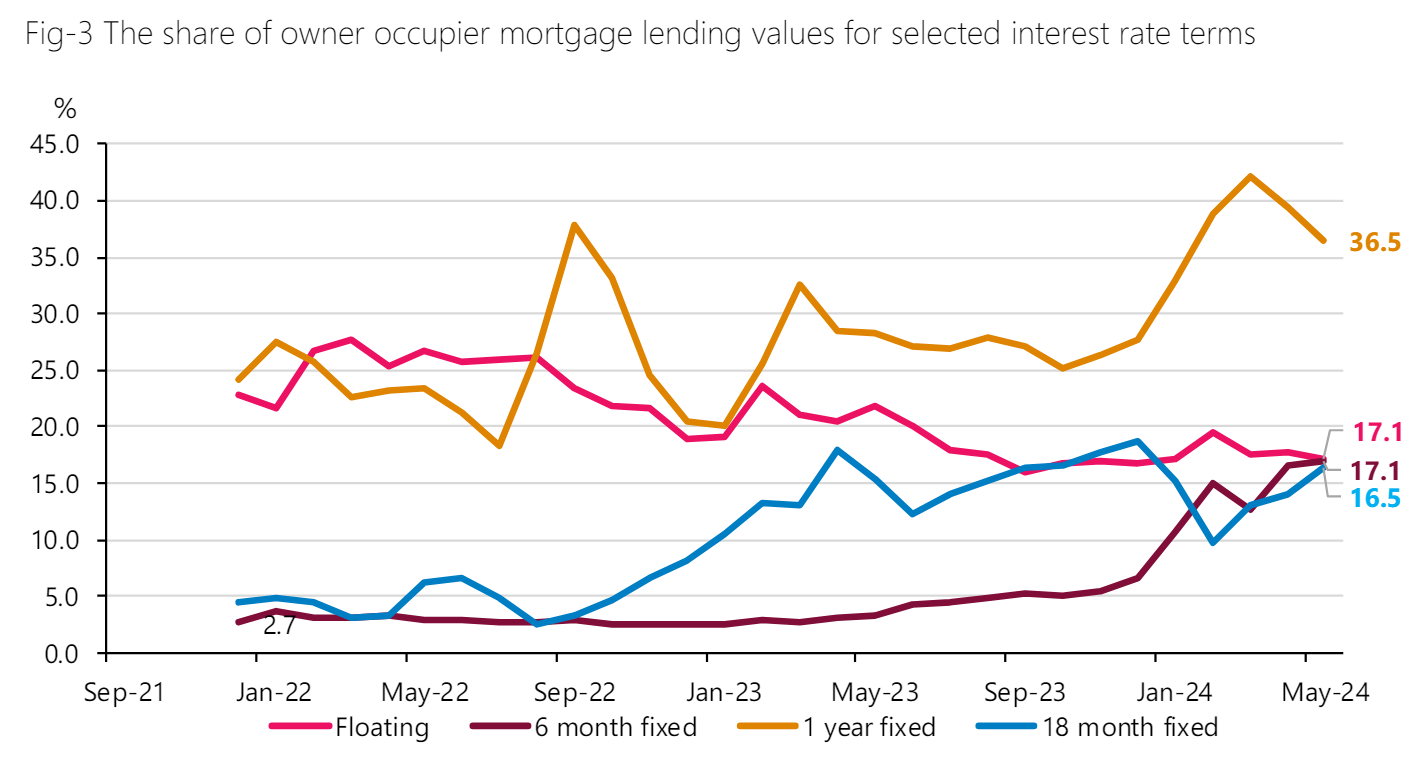 Portion of mortgage lending fixed at selected terms. Photo / RBNZ
