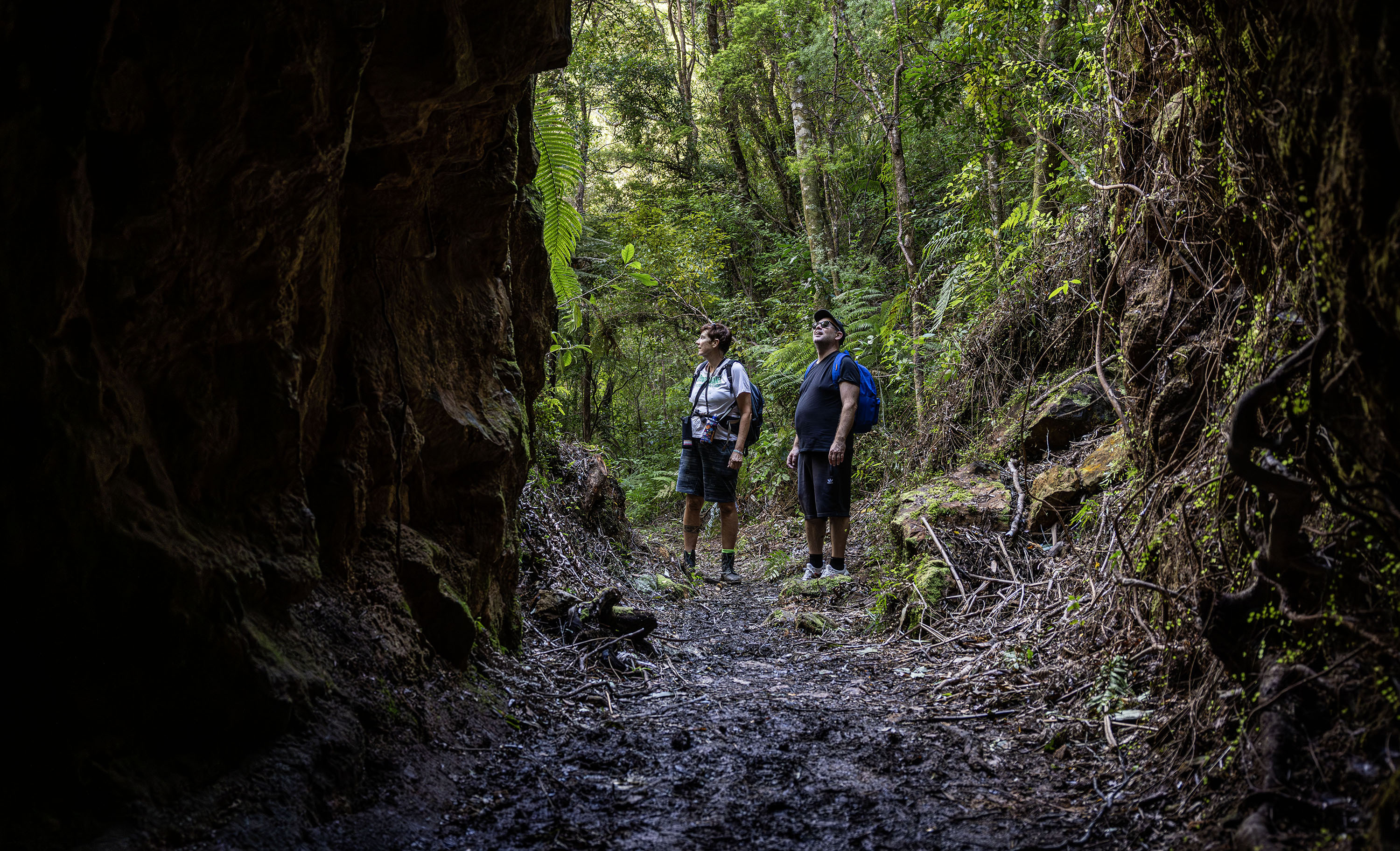 Rosemary Segedin and Morgan Donoghue tramping in the Wharekirauponga bush, DoC land that could soon have a gold mining tunnel dug underneath it. Photo / Mike Scott