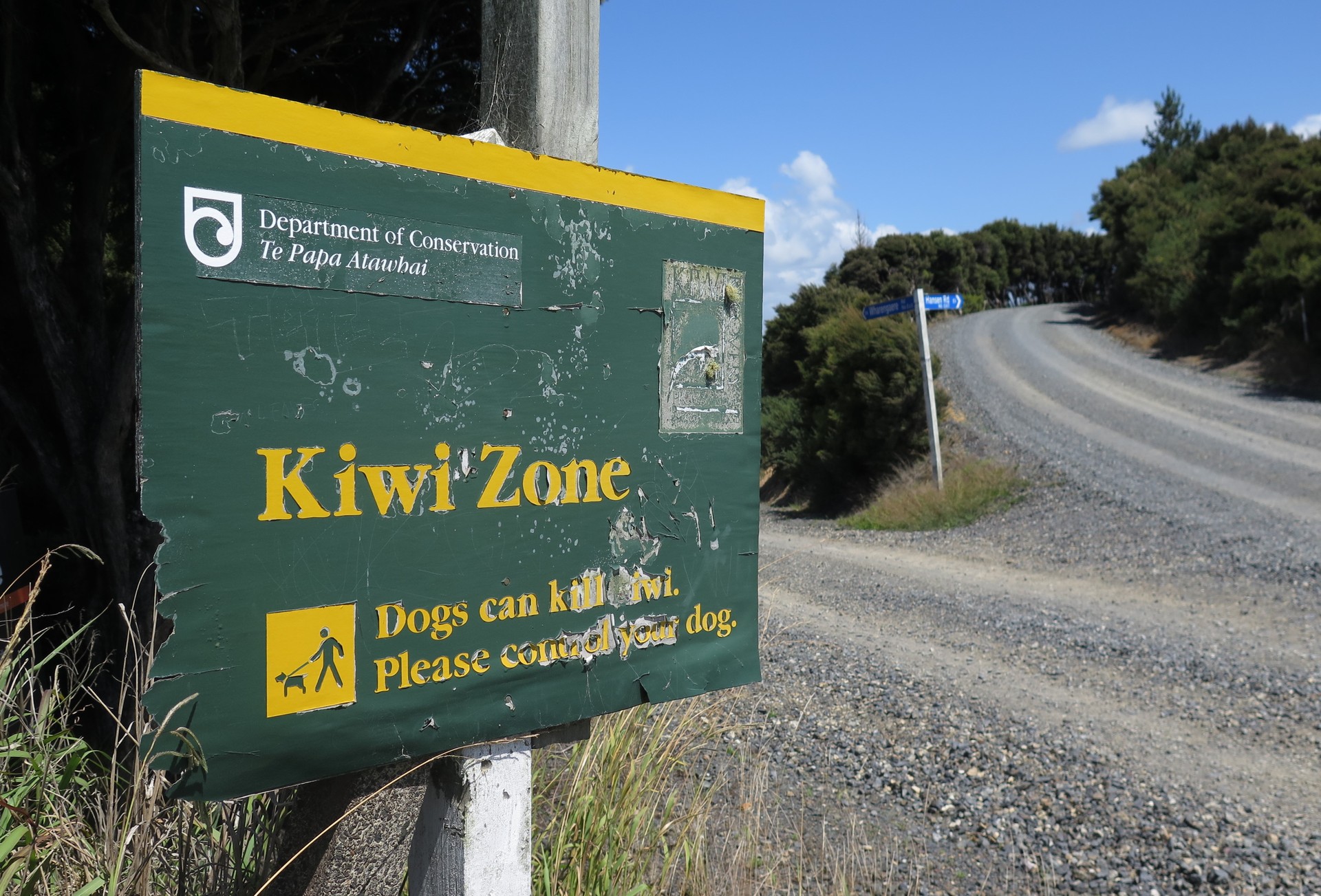 A kiwi-zone sign at the junction of Wharengaere Rd and Hansen Rd, where dead kiwi were found in February 2018 and again last month. Photo / Peter de Graaf