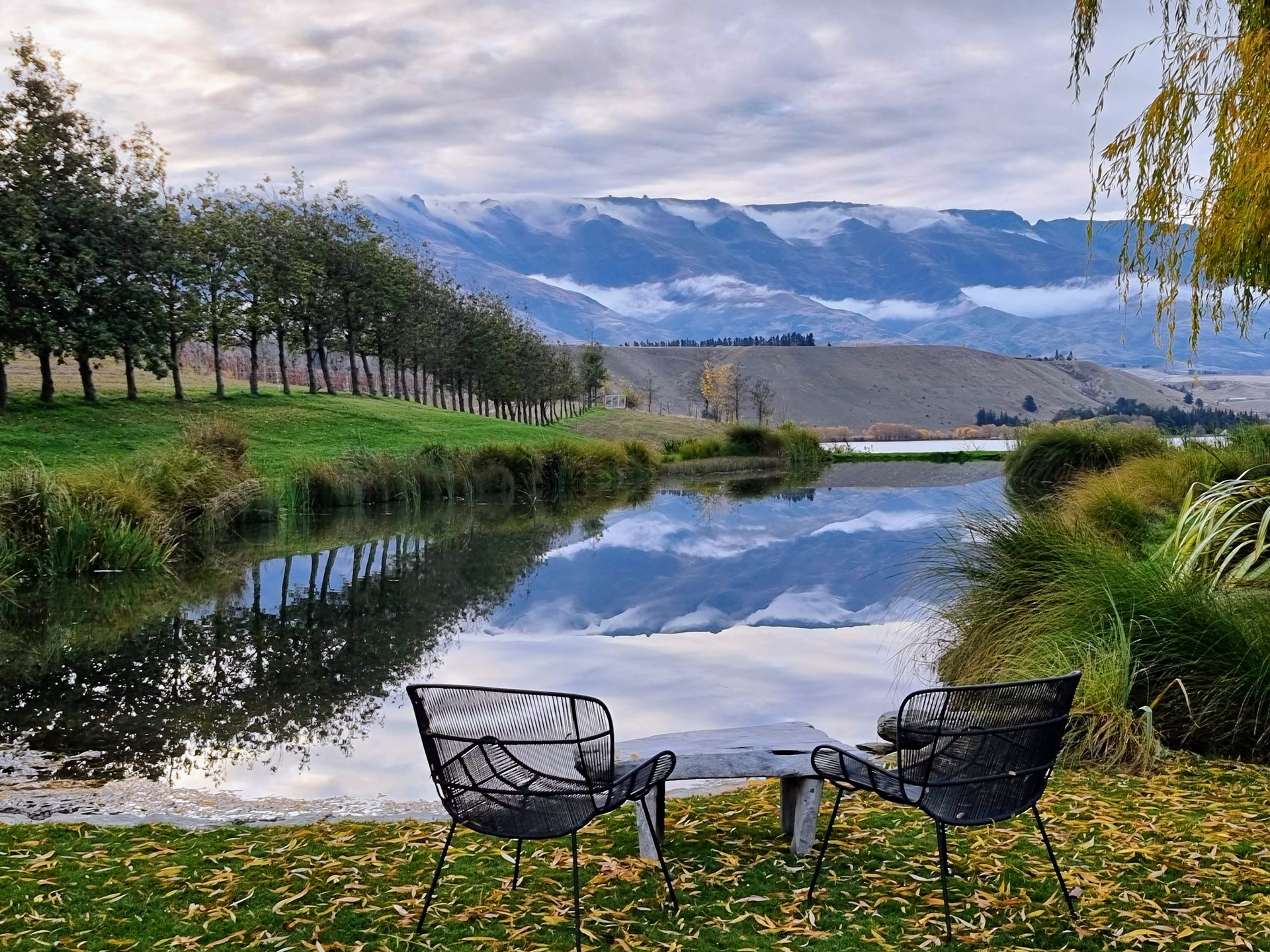Cloudy Bay opens The Shed in Central Otago, New Zealand