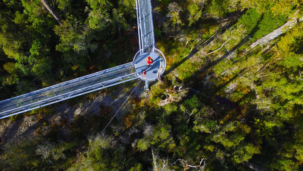 West Coast Treetop Walk and aerial platform for the Tower Zipline. Photo / West Coast New Zealand