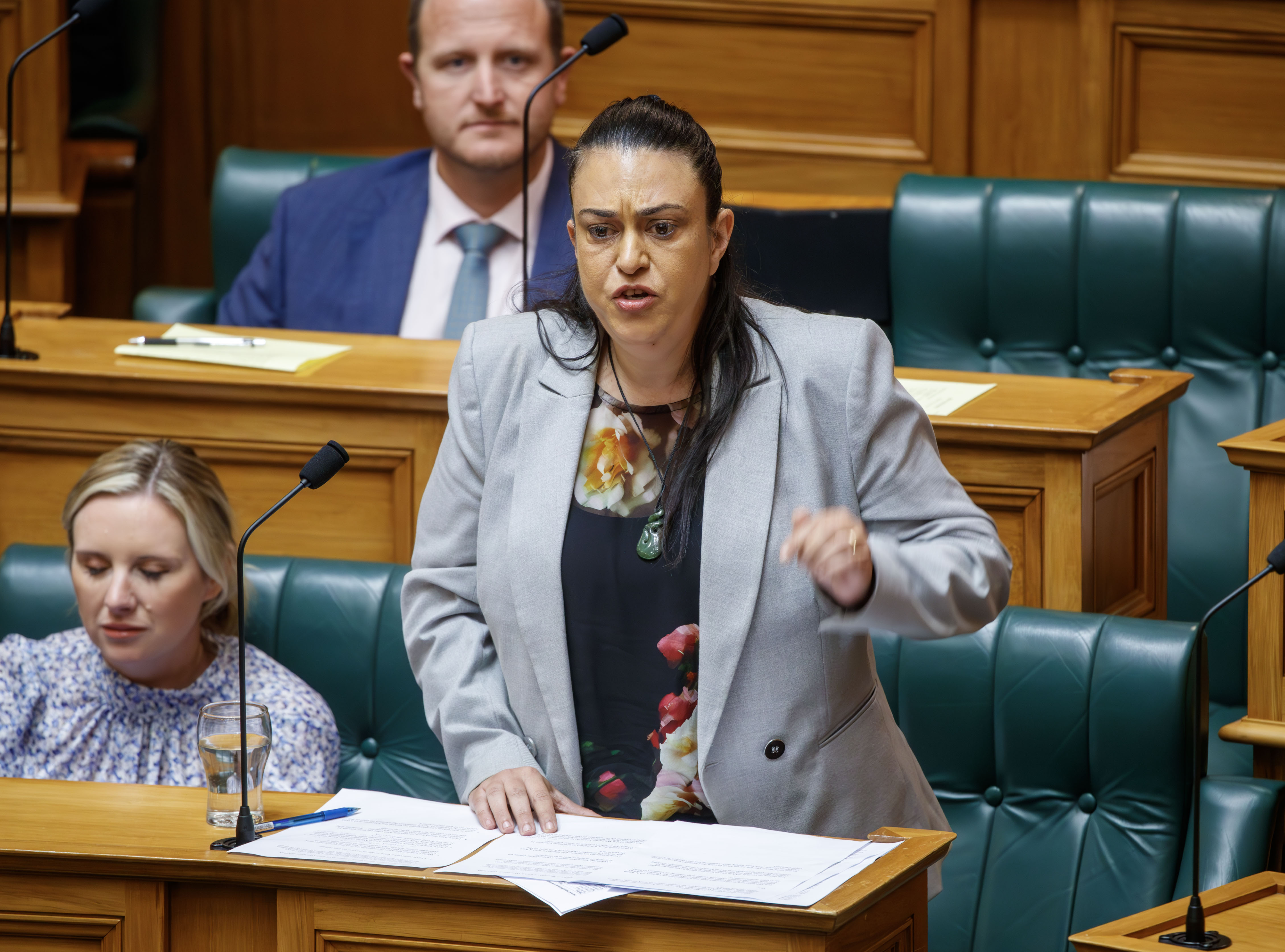Children Minister Karen Chhour's 7aa bill got thrown out last year. Why the change now, asks Helen Leahy.