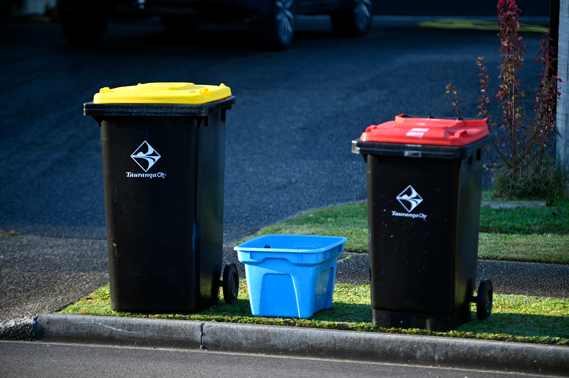 Tauranga's yellow-topped bins are meant for recycling while the red-topped bins are meant for general waste. Photo / George Novak