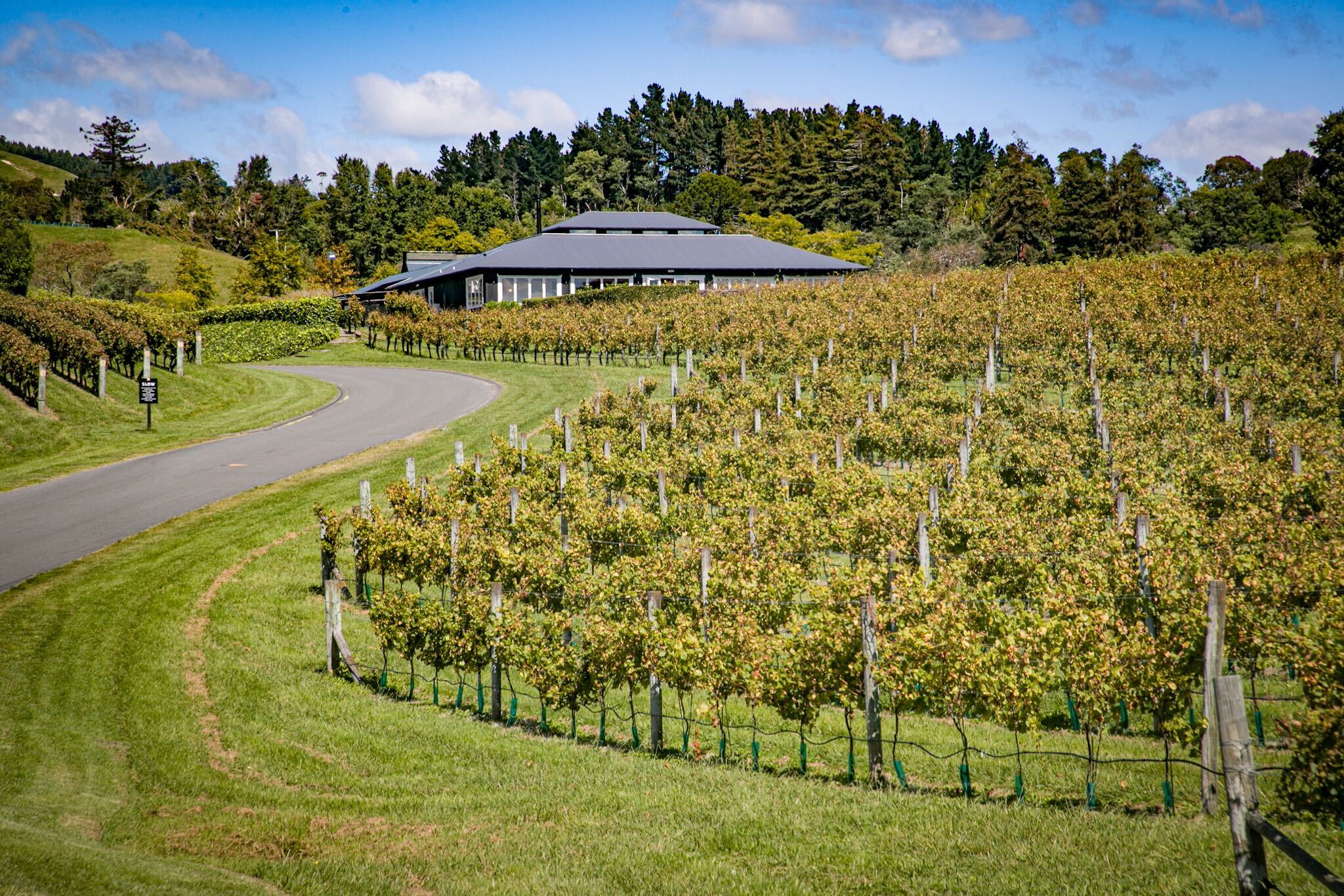 Black Barn is a Hawke’s Bay icon and includes 17 retreats, the cellar door, The Bistro, the amphitheatre and their famous Saturday summer market. Photo / Warren Buckland