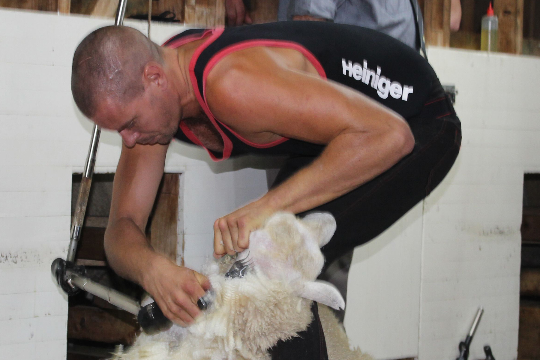 Champion shearer Rowland Smith has been helping out in the aftermath of Cyclone Gabrielle. Photo / Hawke's Bay Today