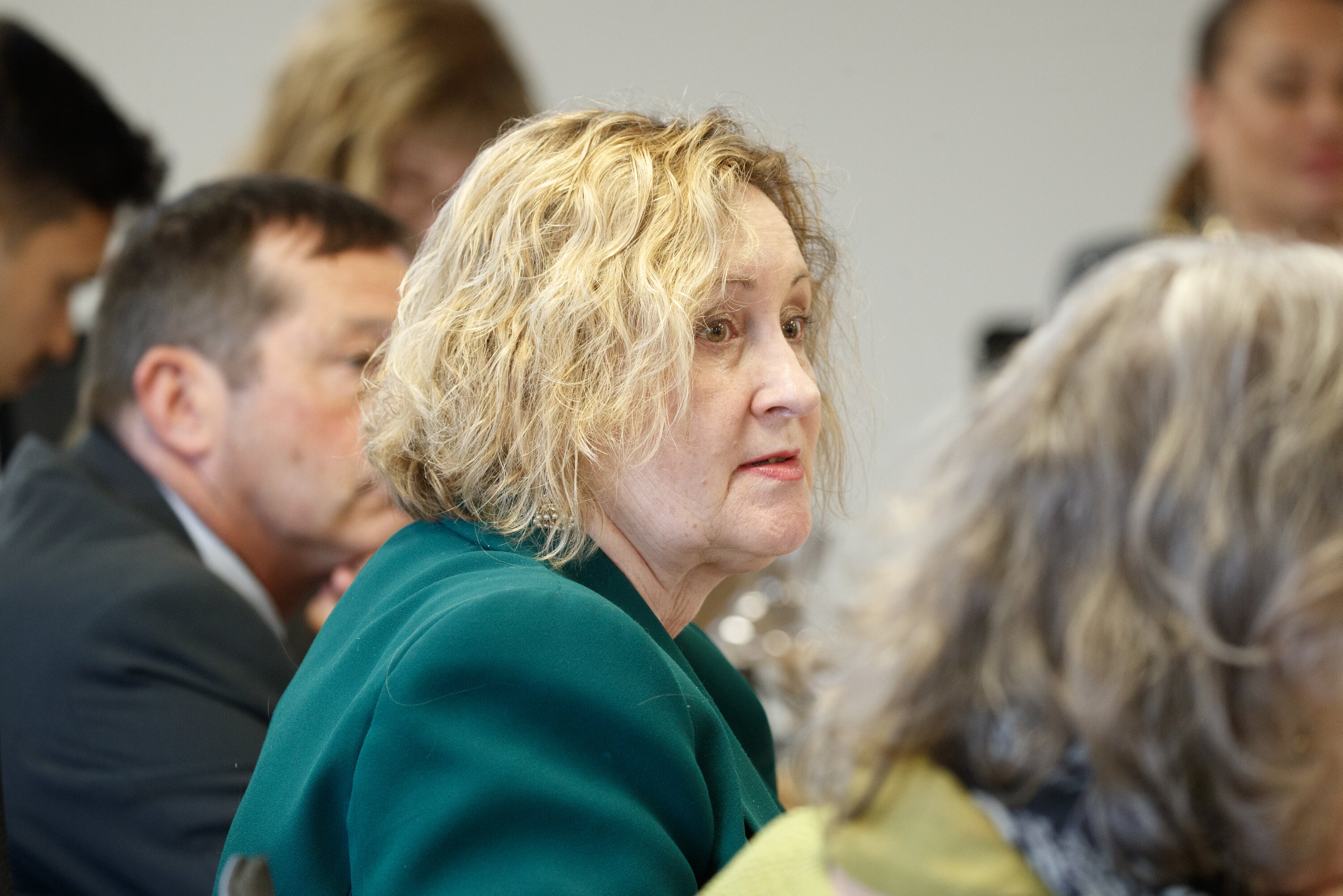 Wellington City Councillor Diane Calvert. Photo / Mark Mitchell.