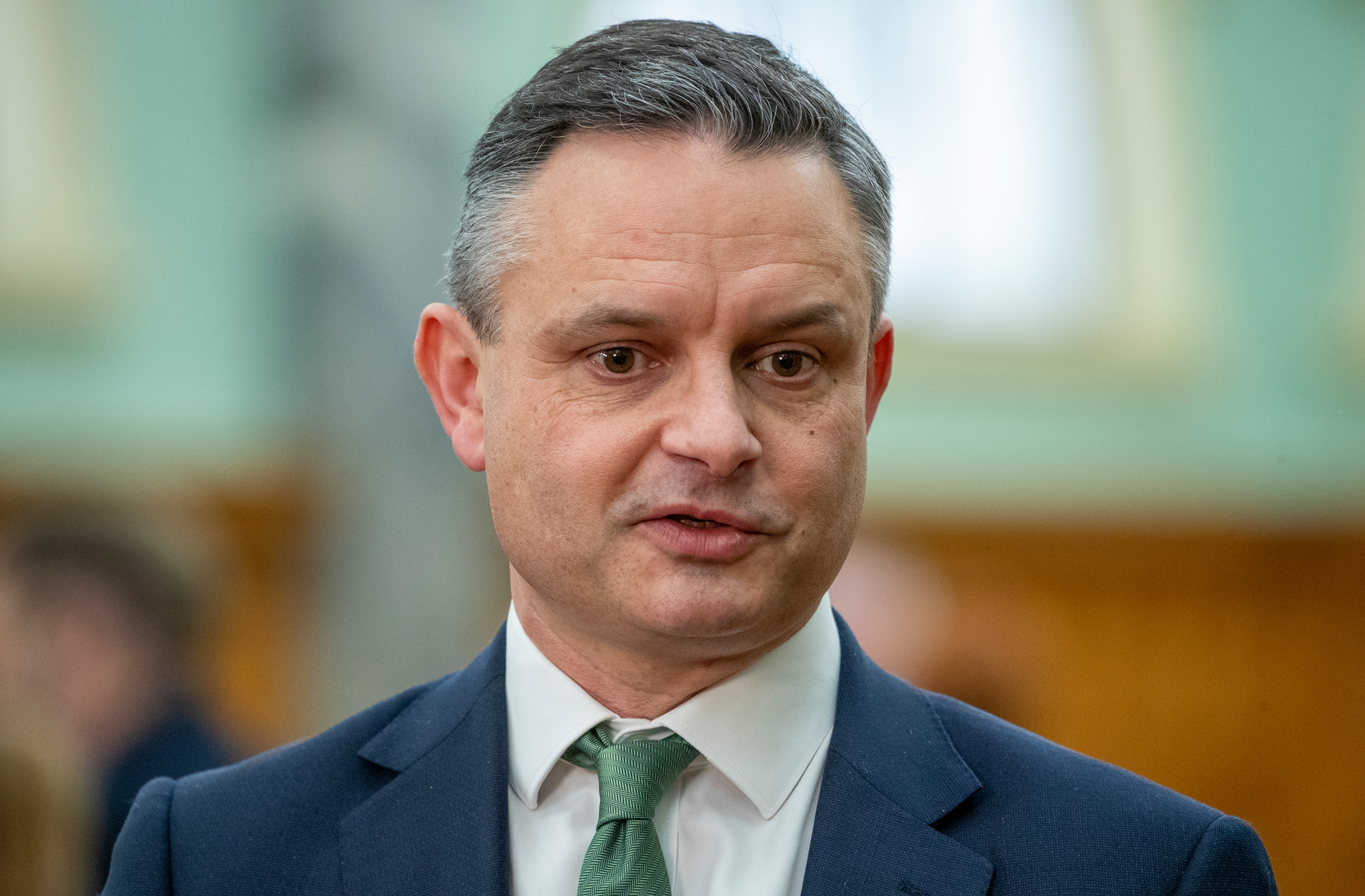 Climate Change Minister James Shaw is once again Green Party co-leader. Photo / Mark Mitchell