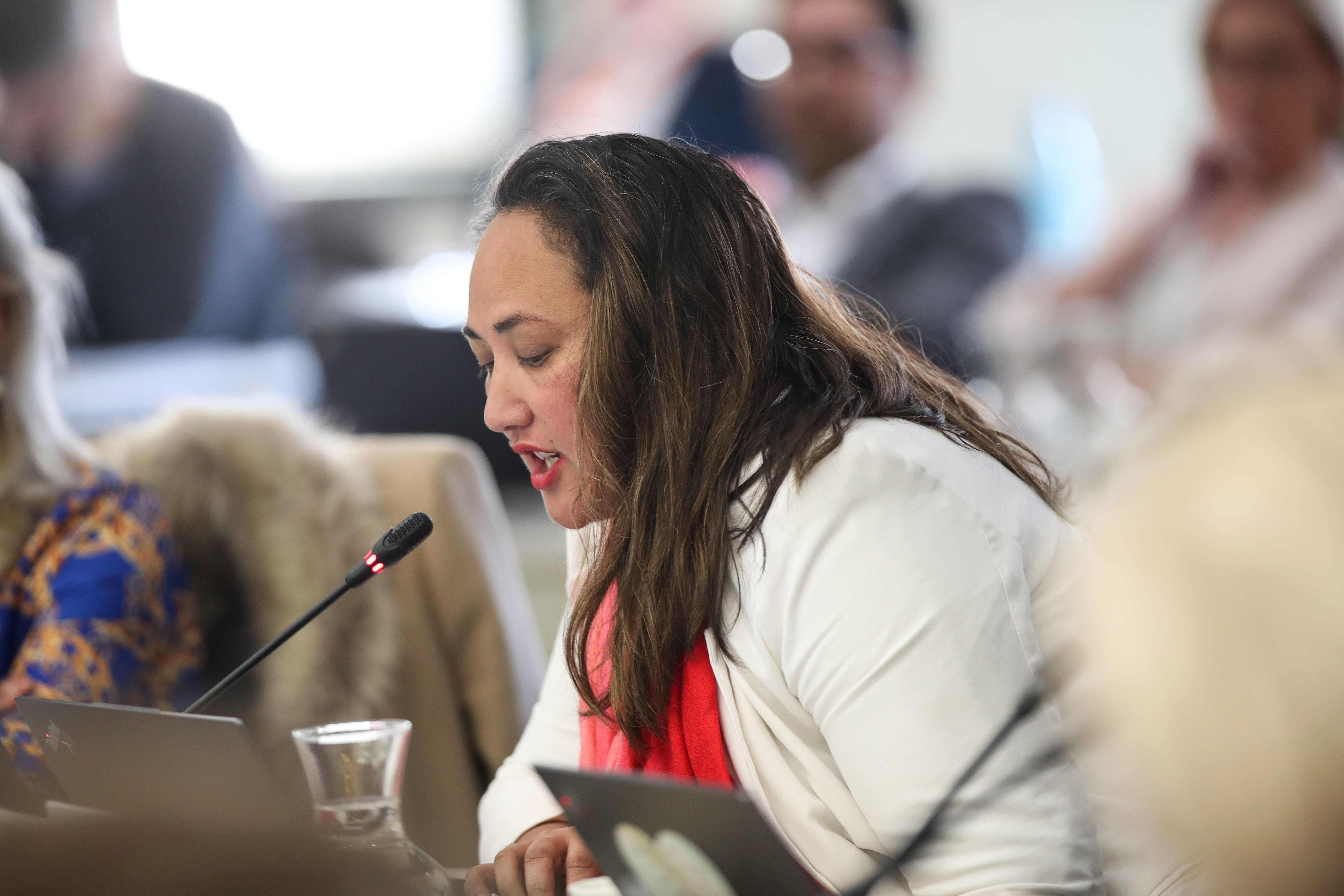 Kerrin Leoni was one of six concilllors to vote against the budget. Photo / Jason Oxenham