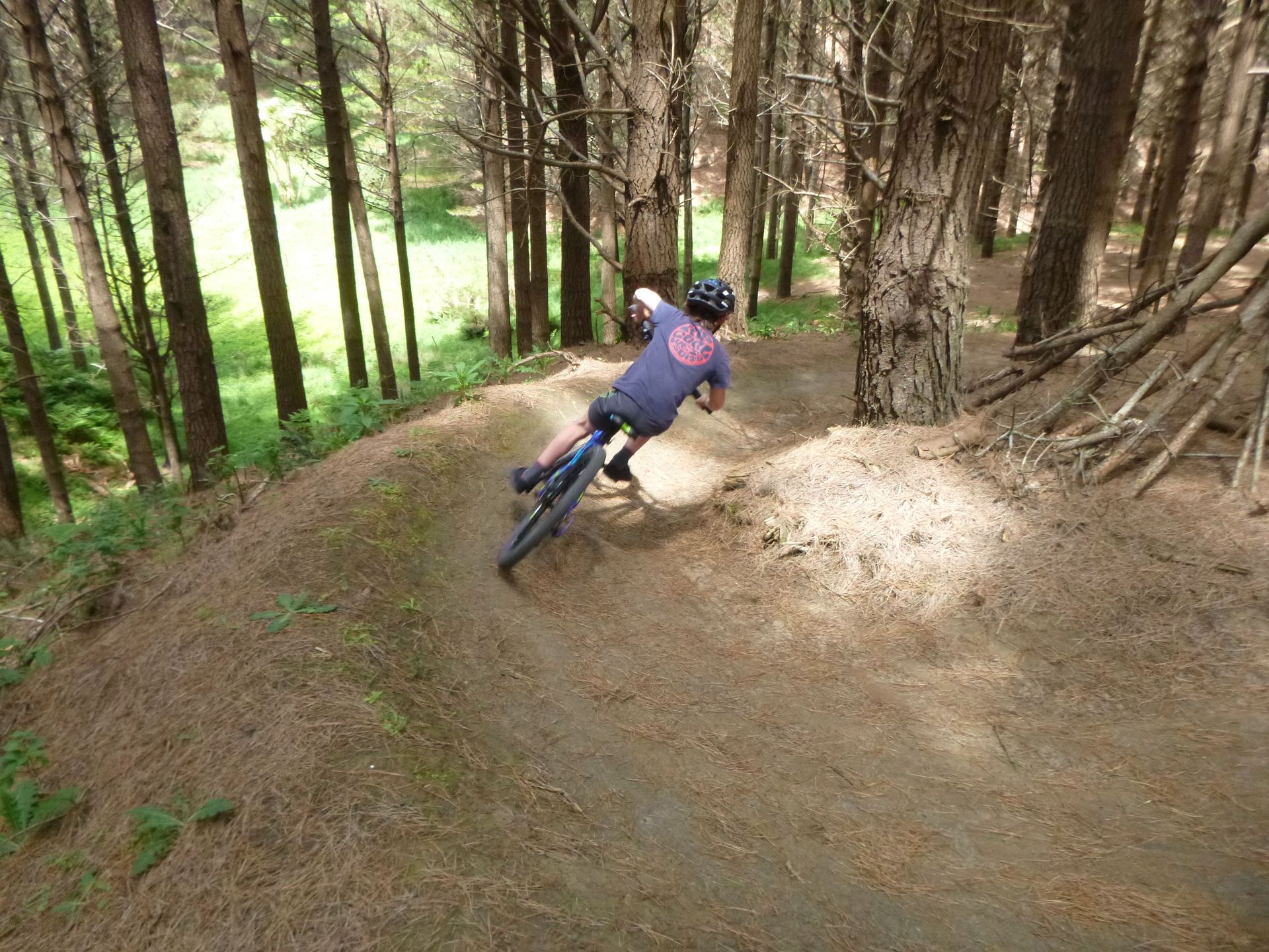 Pukete mountain bike online park