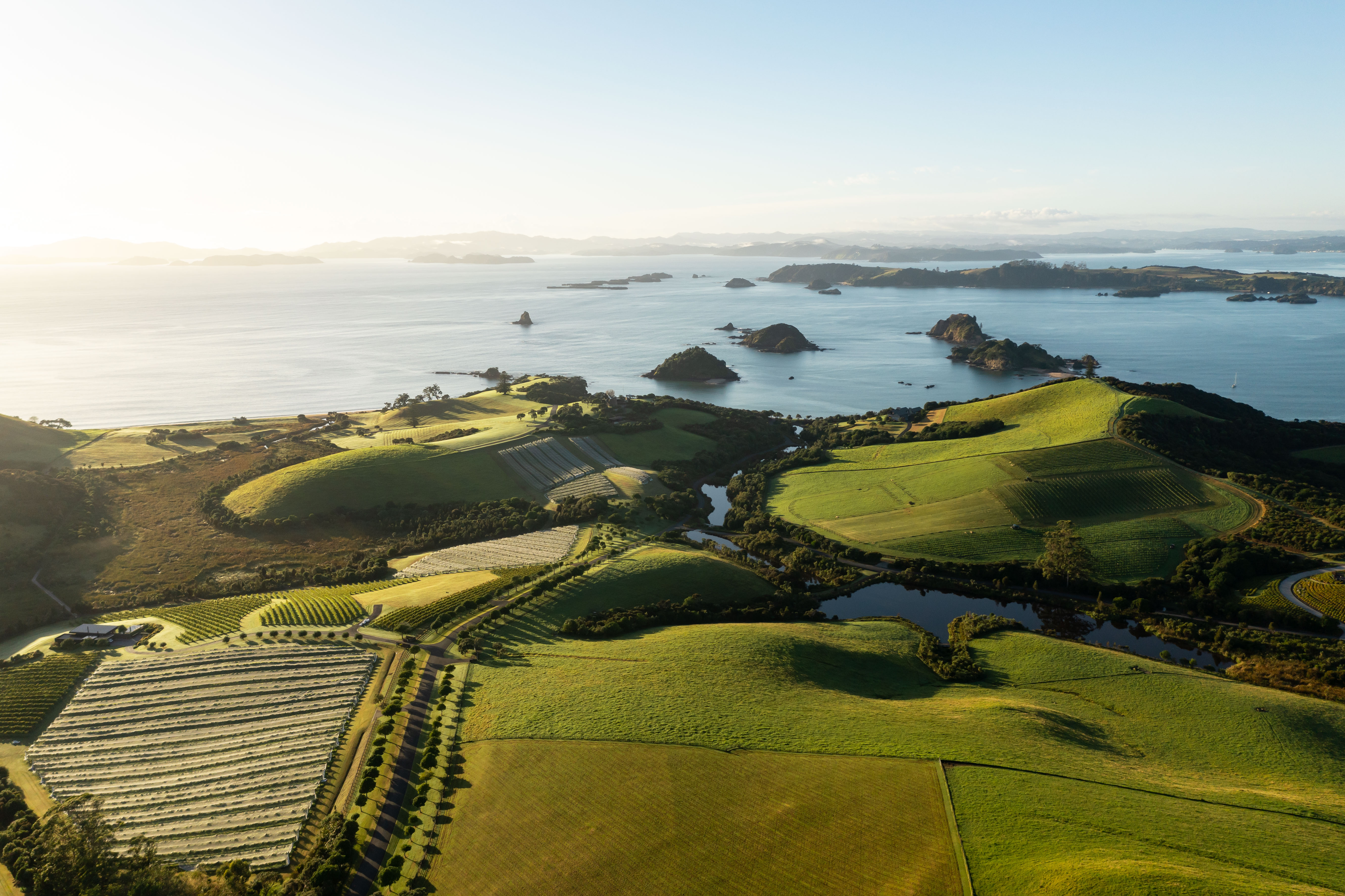 The Landing combines a working vineyard, convenated native bush, farm, and wetland areas.