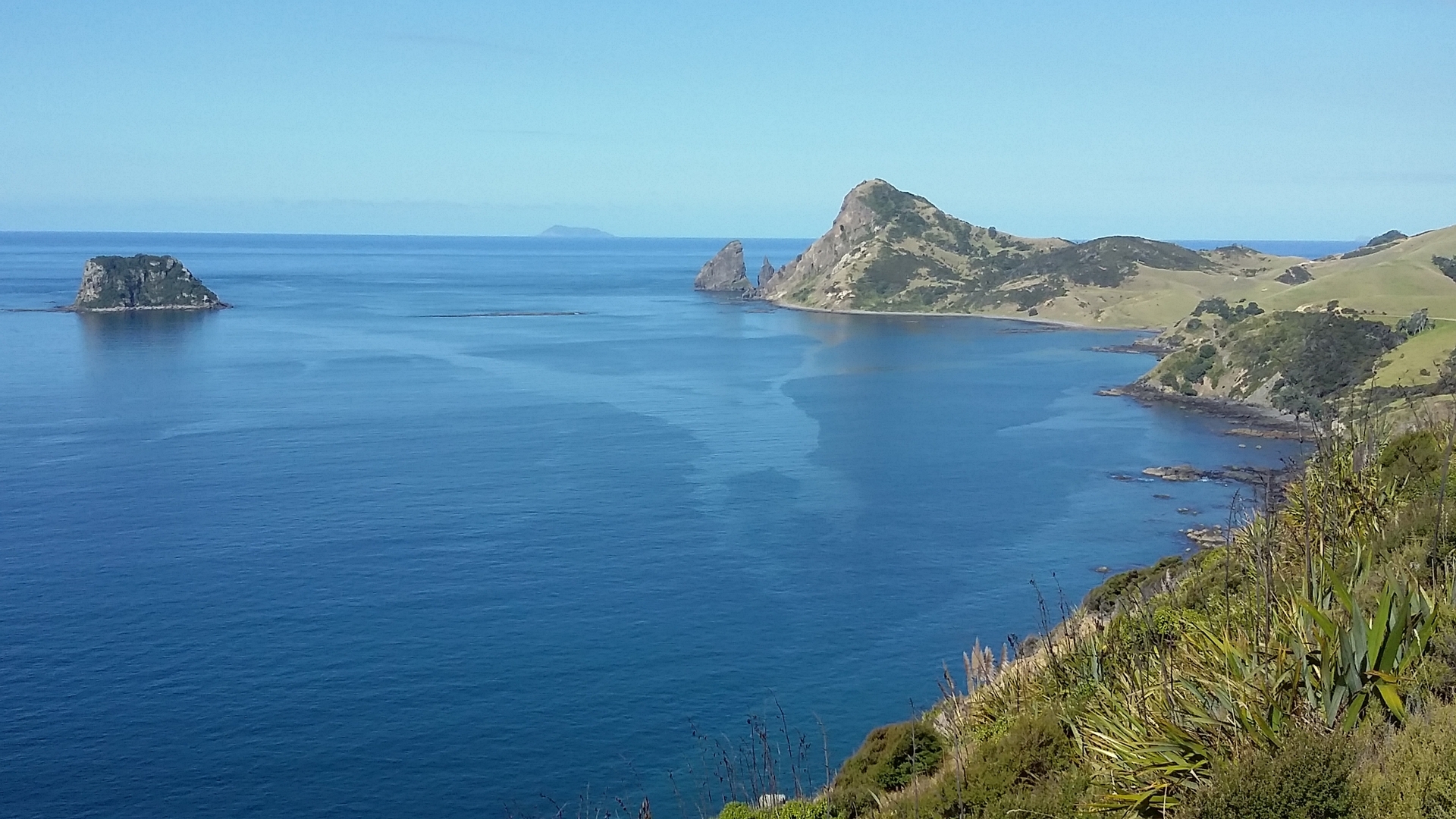 Campsites at Fletcher Bay have been closed due to weather-related risks. Photo / Coromandel Adventures