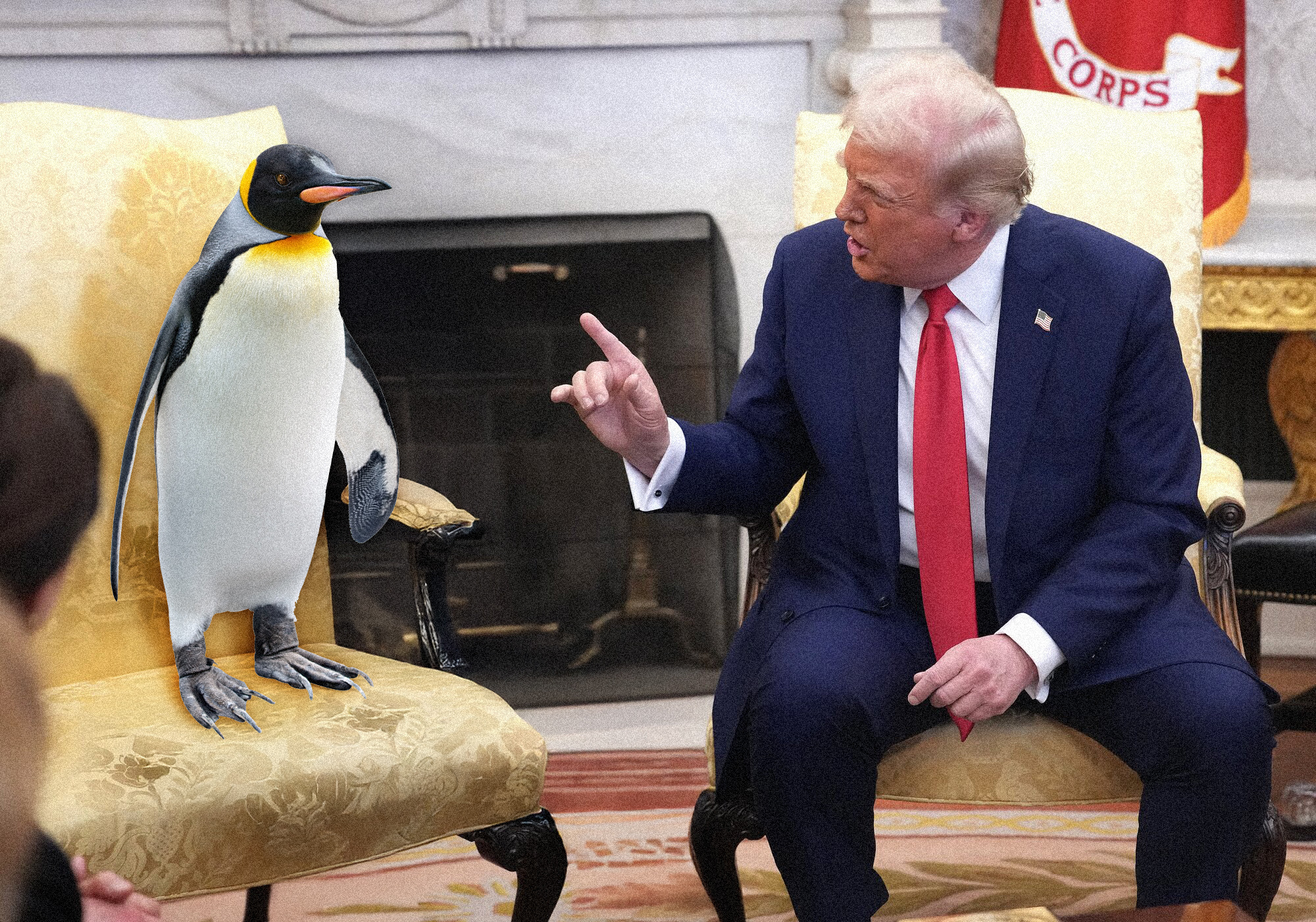 Penguin memes take flight after Trump tariffs target remote island - NZ  Herald