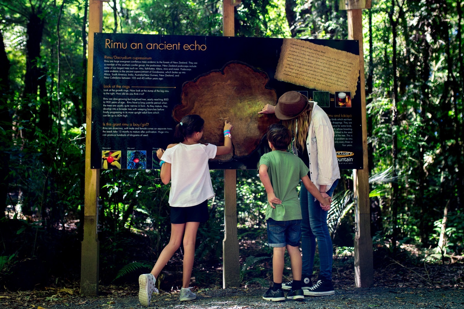 With the greater part of tours in the outdoors, Sanctuary Mountain has been able to continue with them, using the necessary Covid protocols. Photo / Hamilton and Waikato Tourism
