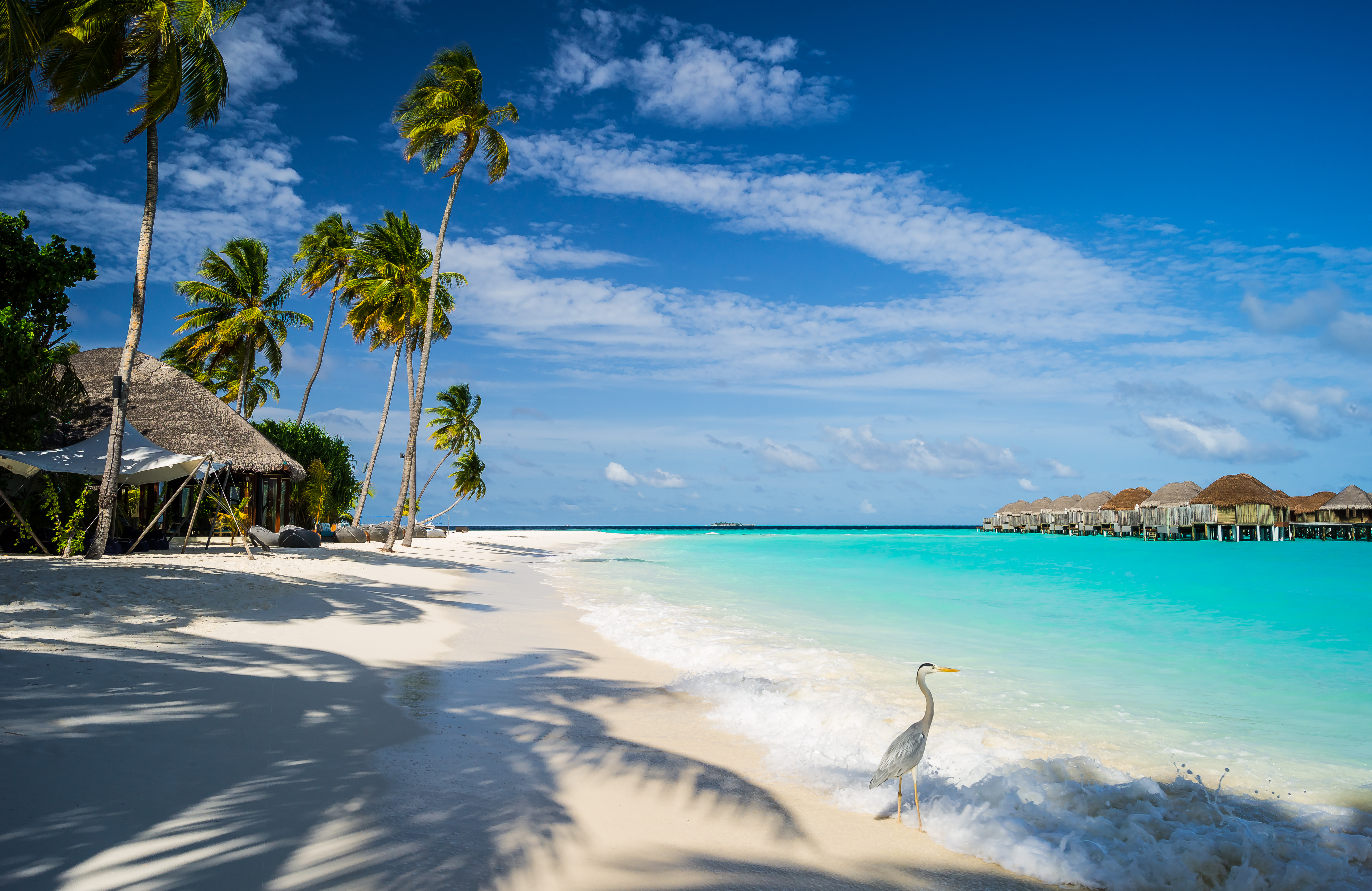Throw yourself around in the glorious Indian Ocean for a few hours and enjoy the top-end TLC afterwards. Photo / Creative Commons image by Flickr user Mac Quin