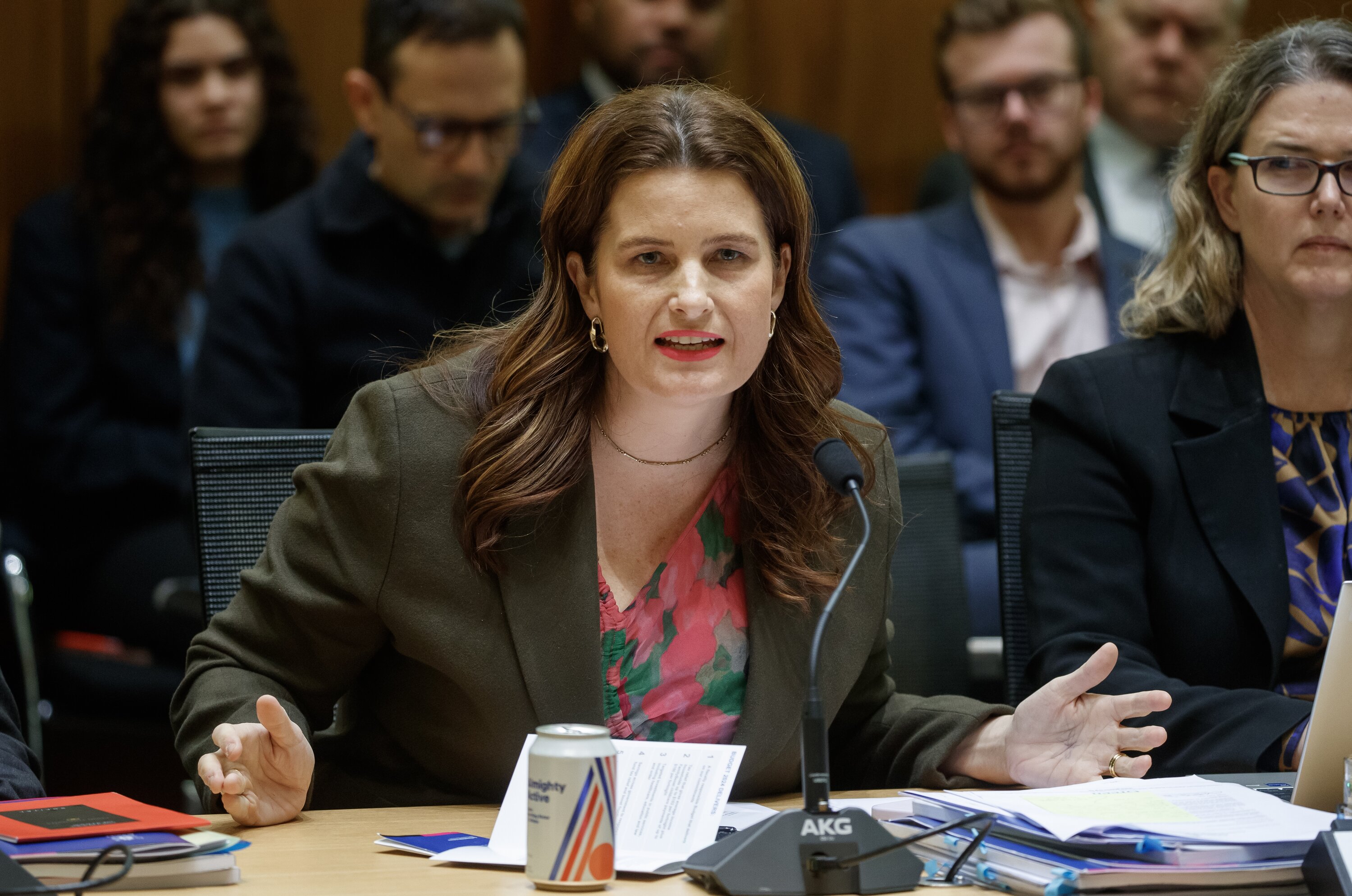 Finance Minister Nicola Willis. Photo / Mark Mitchell   