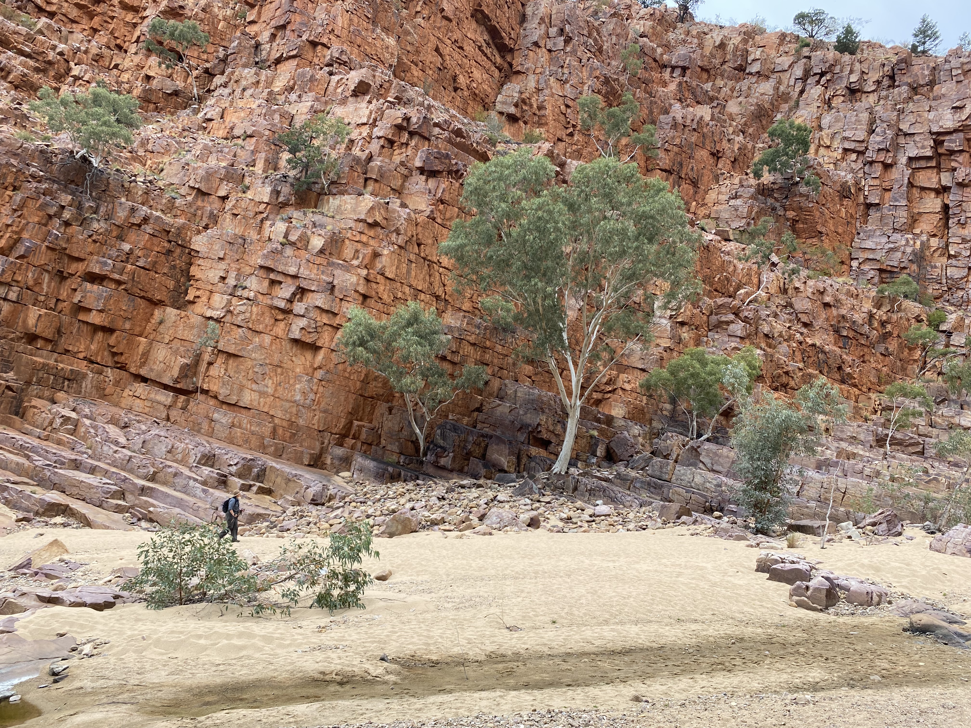 The Ormiston Pound circuit walk is flanked by towering ridges, akin to walking in a giant basin. Photo / Anna Sarjeant