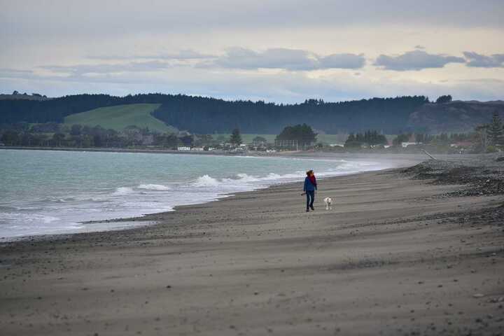 Hawke's Bay residents have been warned to keep themselves and their dogs out of the water at Haumoana Beach, pictured last year, after a mystery substance washed ashore.