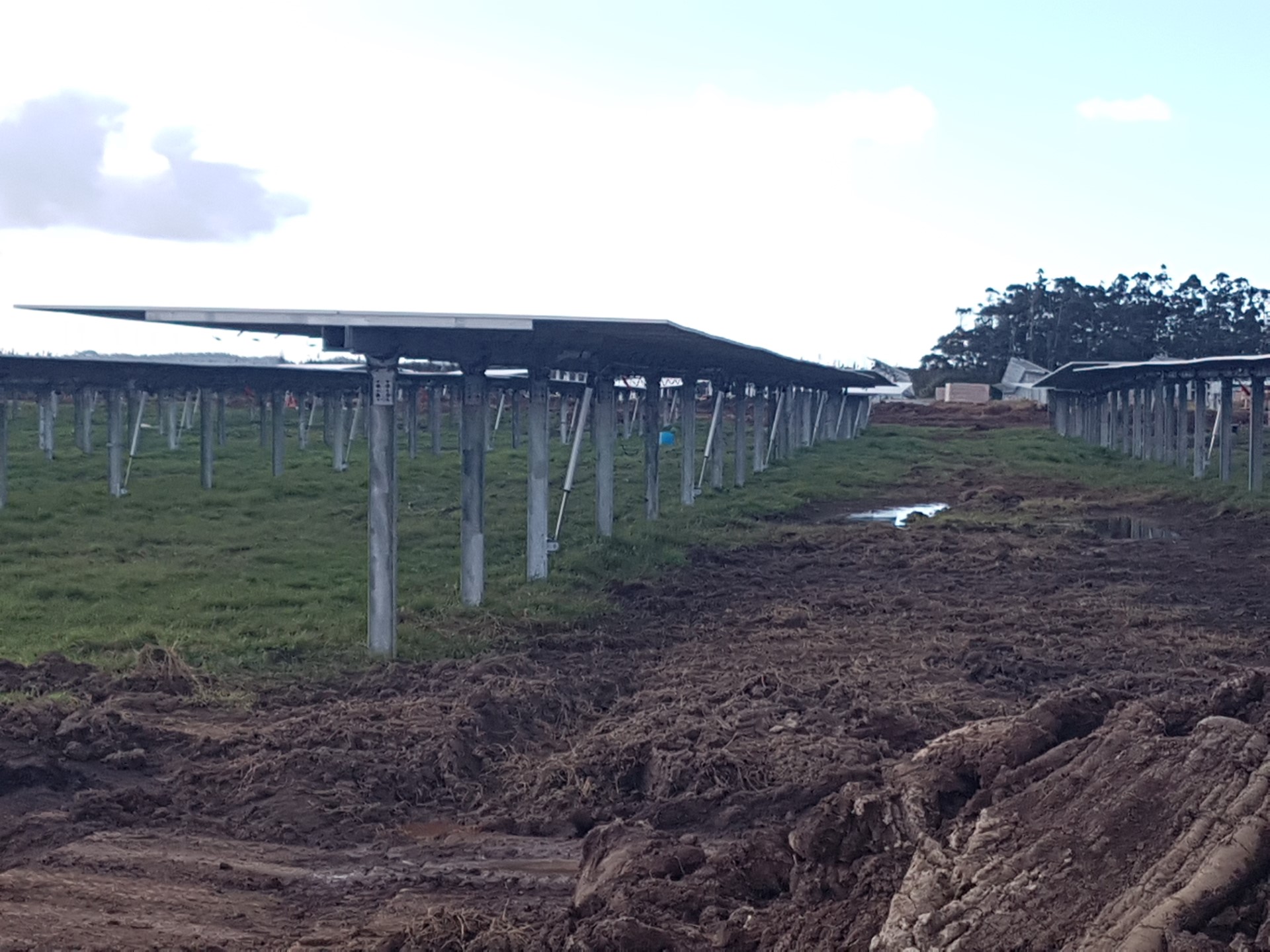 The panels at the Gill Rd solar farm are raised 2m above the ground so that sheep can graze and some crops could also be grown under them. They also tilt to follow the sun during the day. Photo / Mike Dinsdale