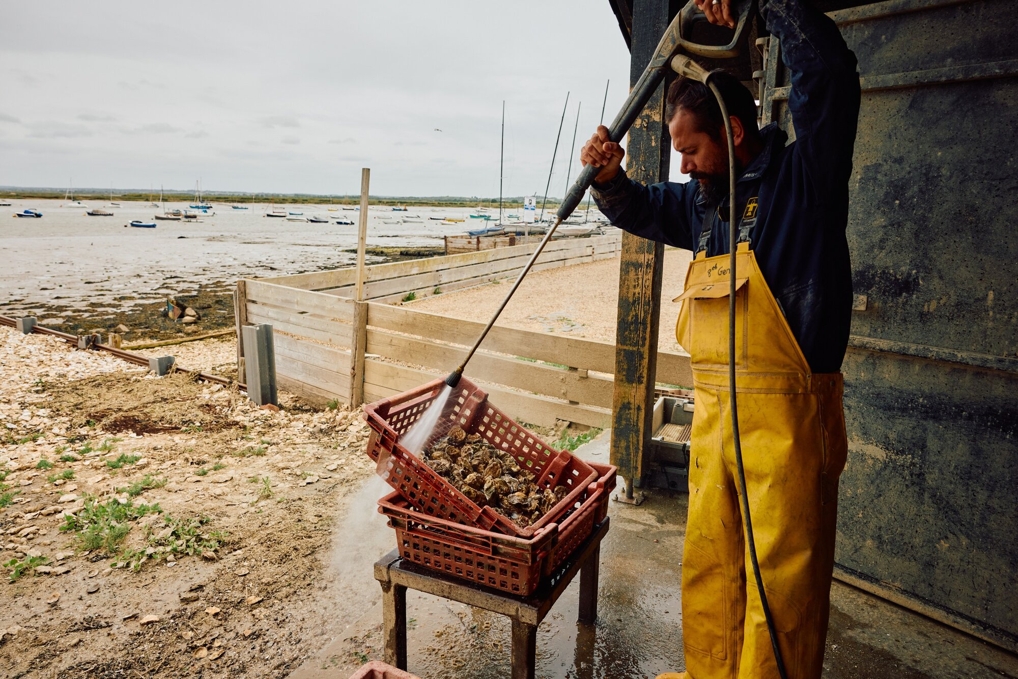 Shellfish farmers are among the business owners who have found that additional border checks and paperwork have hurt the export of their products. Photo / Emli Bendixen, The New York Times