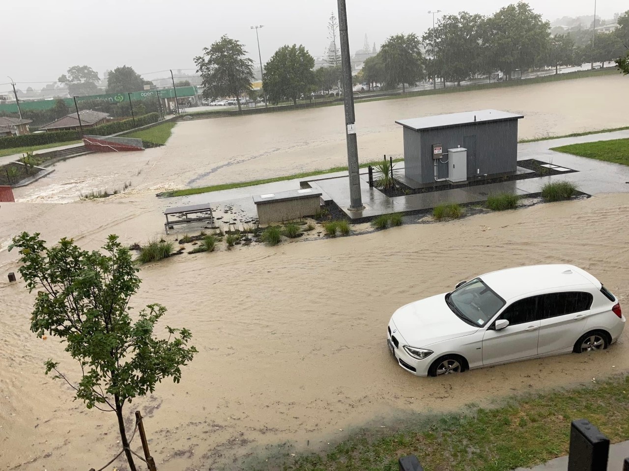 The reserve at Northcote during the January floods.  