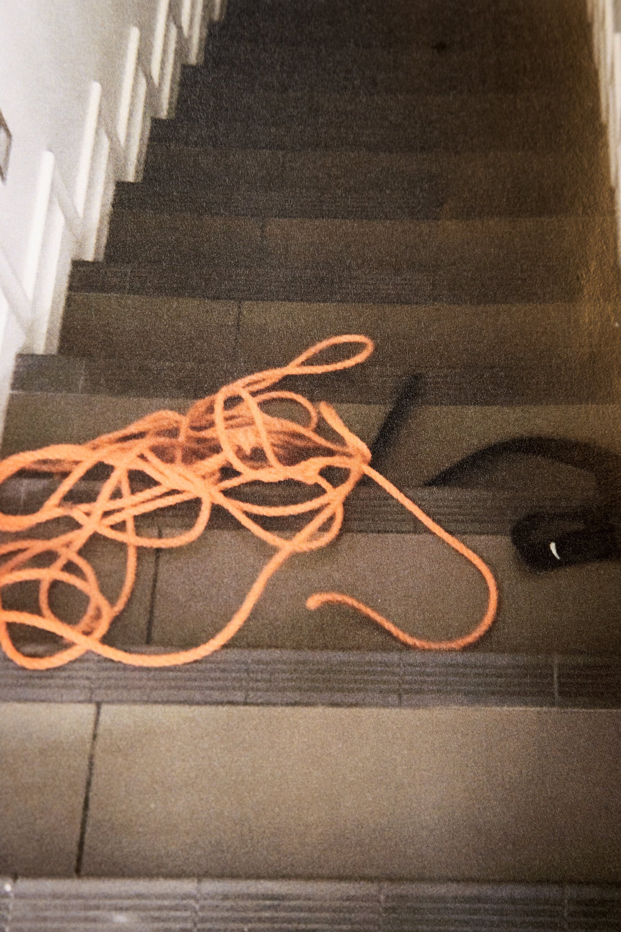 A photo of rope from inside eye surgeon Philip Polkinghorne's Remuera home was entered into evidence at his murder trial in the High Court at Auckland. He is accused of having strangled his wife, Pauline Hanna, then staging the scene to look like a suicide by hanging.
